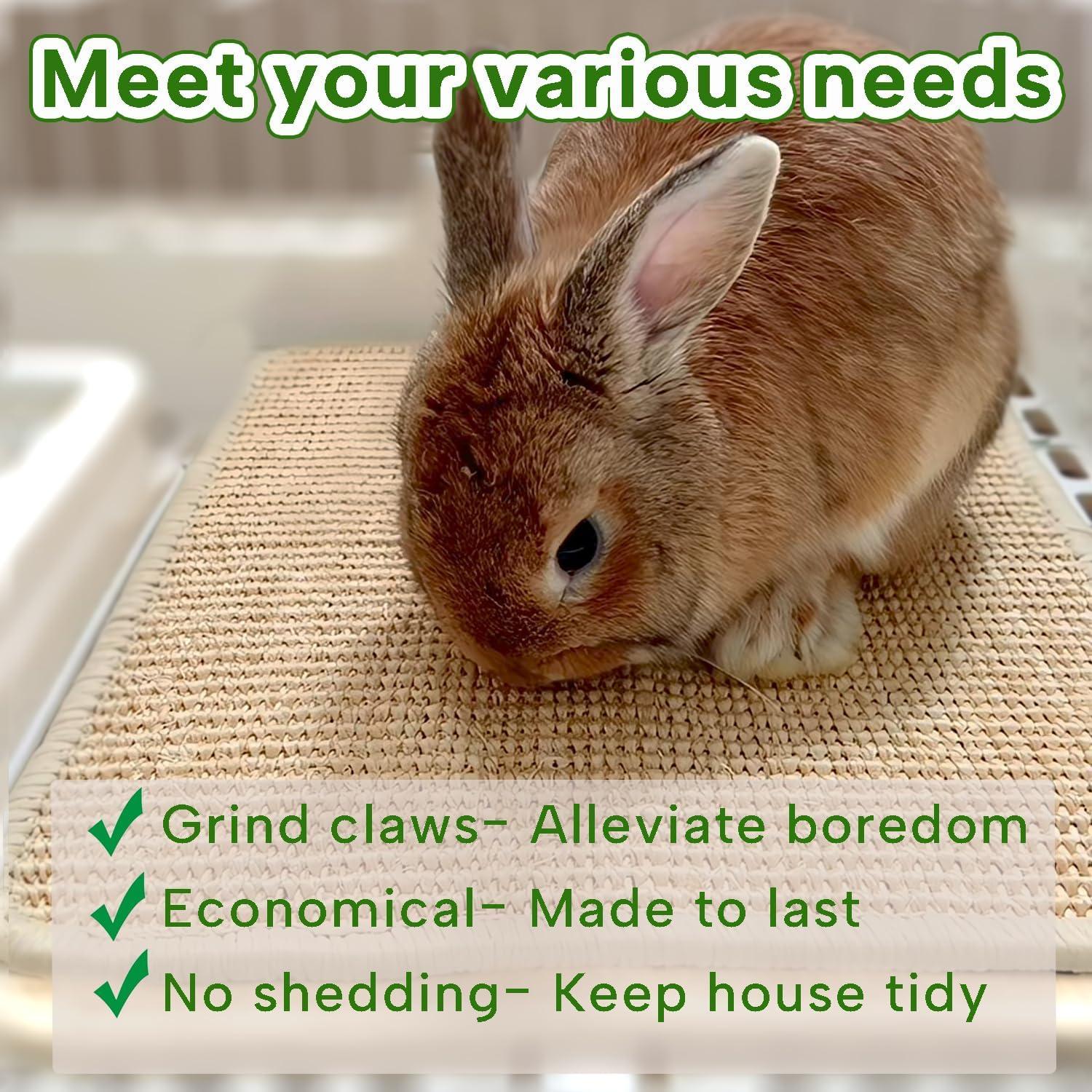 Alfombrilla de Rascado para Conejos KEYIDE 40x30cm Yute Natural