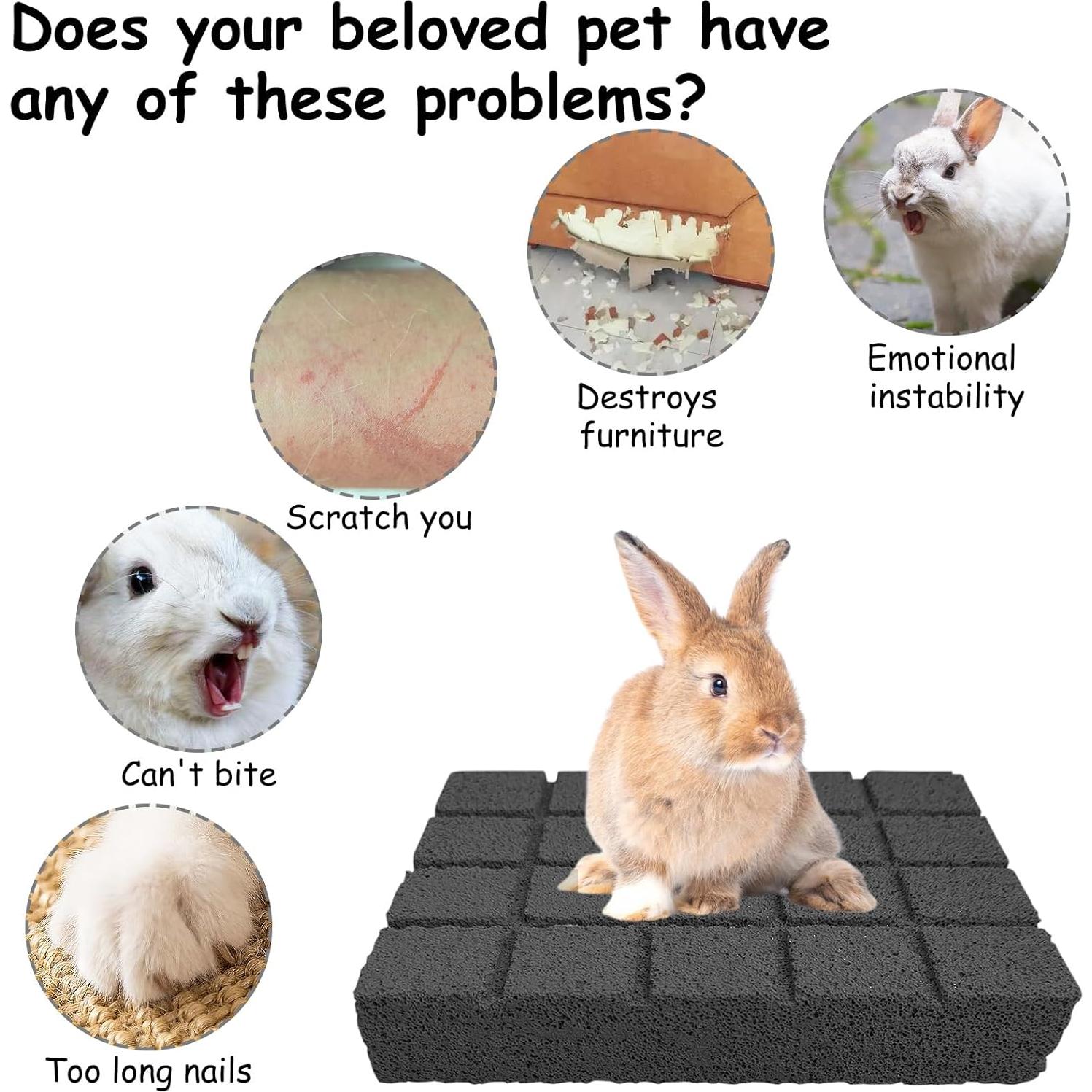 Almohadillas de Rasguño para Conejos Hamiledyi 2 Piezas