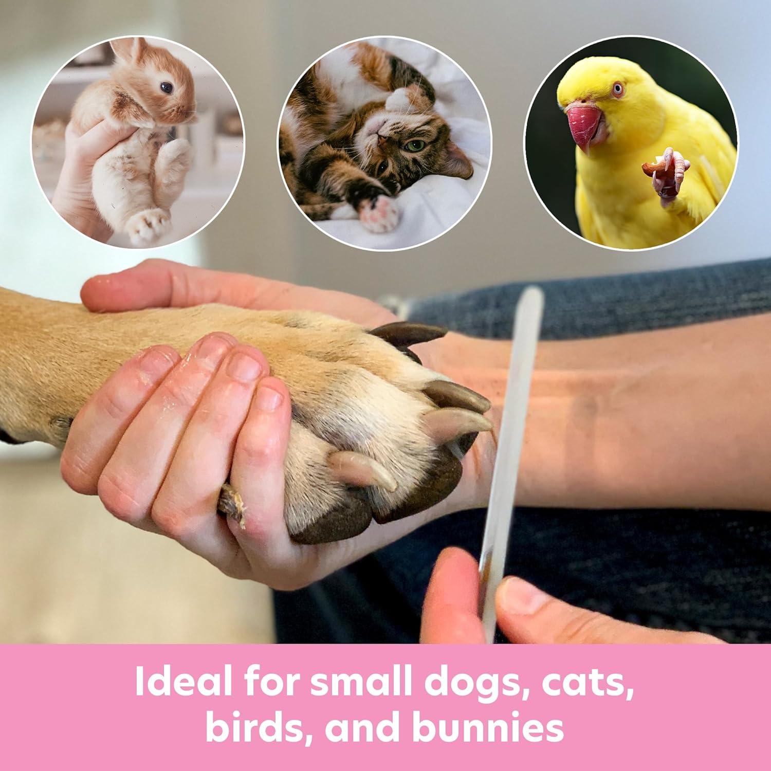 Lima de Uñas para Mascotas Bona Fide Beauty - Vidrio Checo 13cm