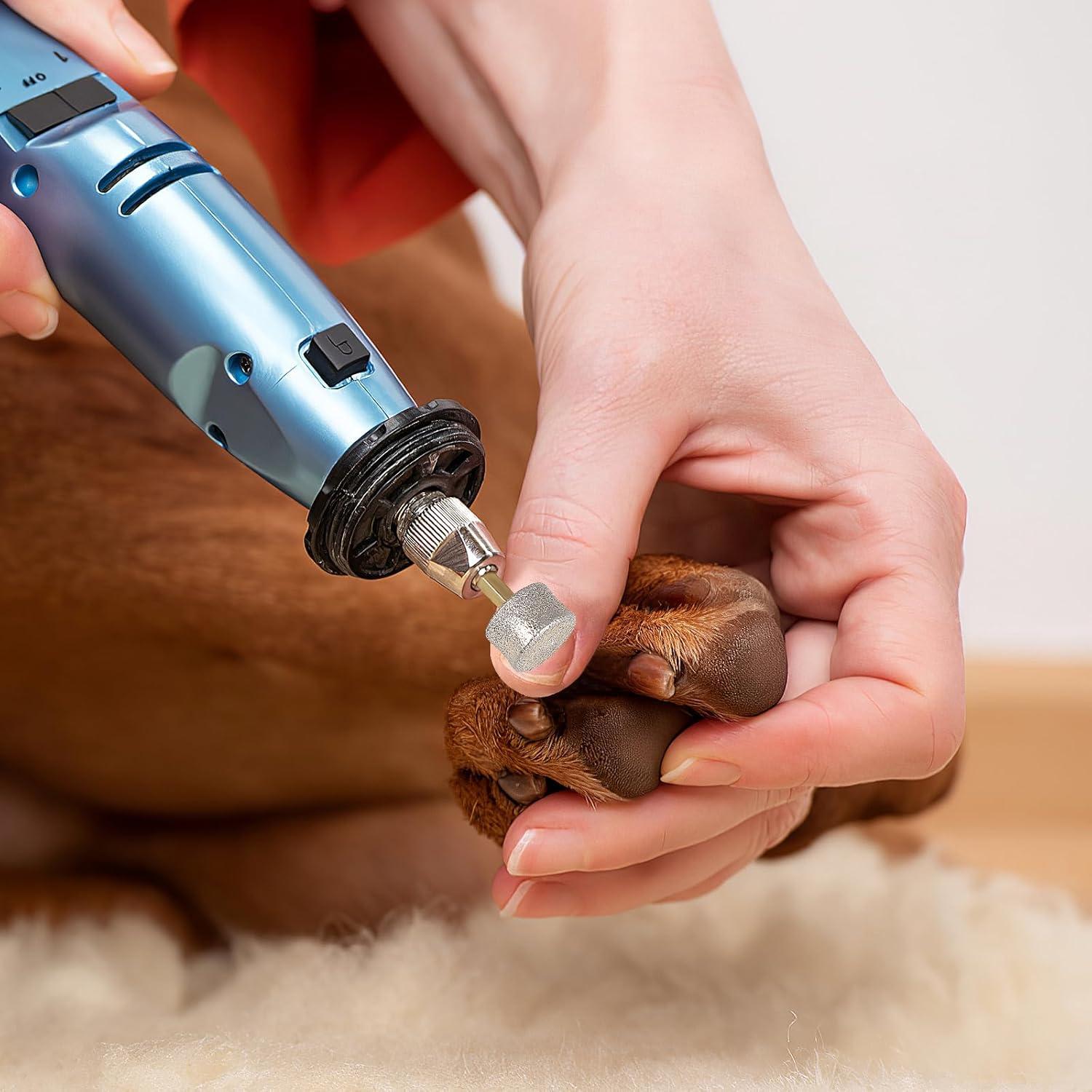 Cabezas de Repuesto para Molinillo de Uñas de Perro Ipetboom - 10 Piezas de Punta de Diamante