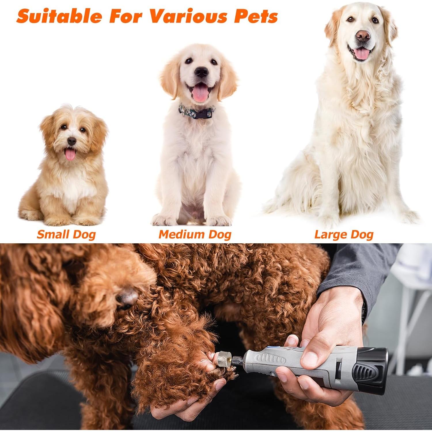 Cabezas de Repuesto para Molinillo de Uñas de Perro Ipetboom - 10 Piezas de Punta de Diamante