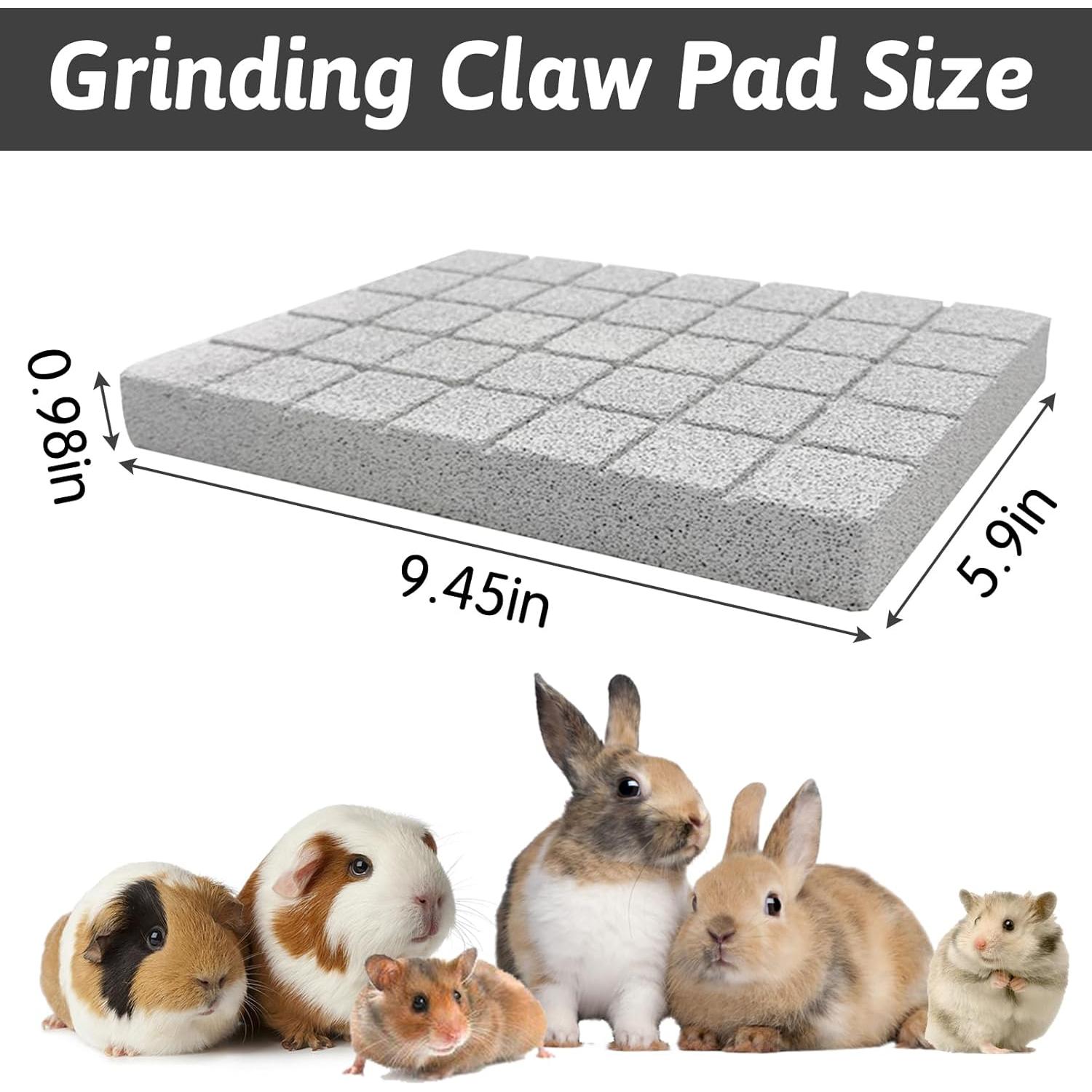 Almohadillas para Rascar Conejos Hamiledyi - 4 Piezas de Piedra Lava