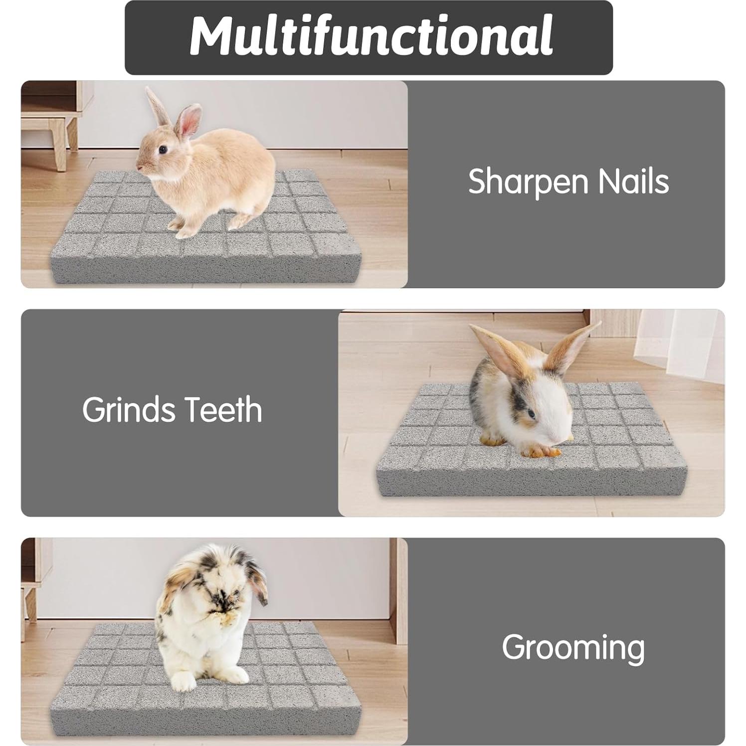 Almohadillas para Rascar Conejos Hamiledyi - 4 Piezas de Piedra Lava