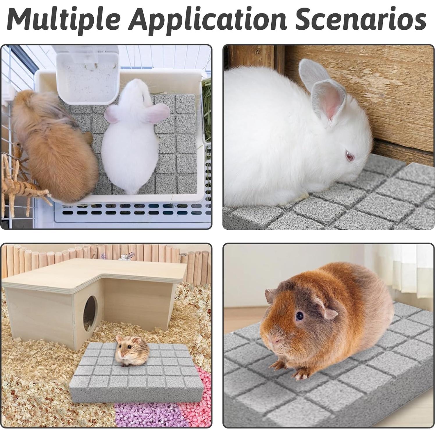 Almohadillas para Rascar Conejos Hamiledyi - 4 Piezas de Piedra Lava