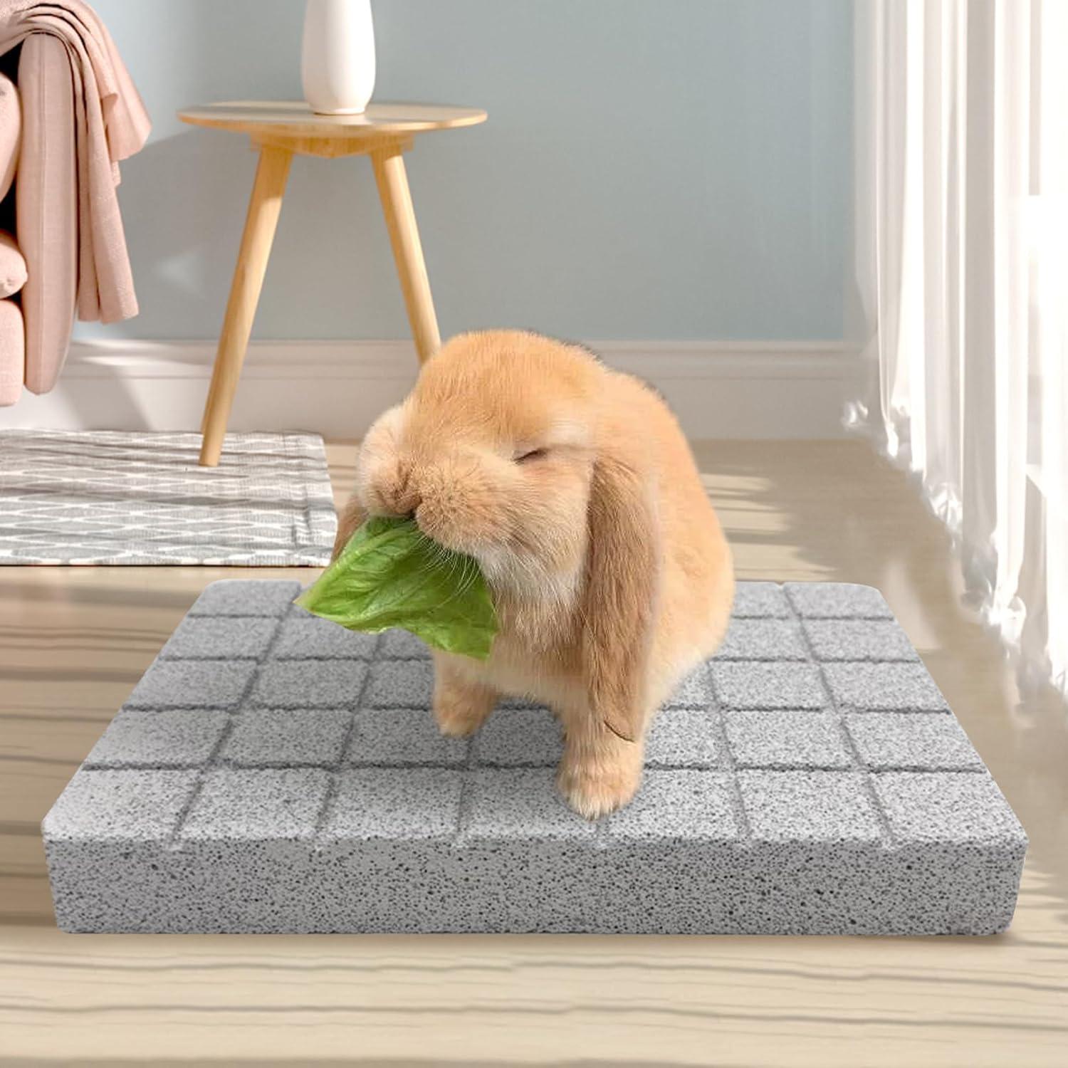 Almohadillas para Rascar Conejos Hamiledyi - 4 Piezas de Piedra Lava