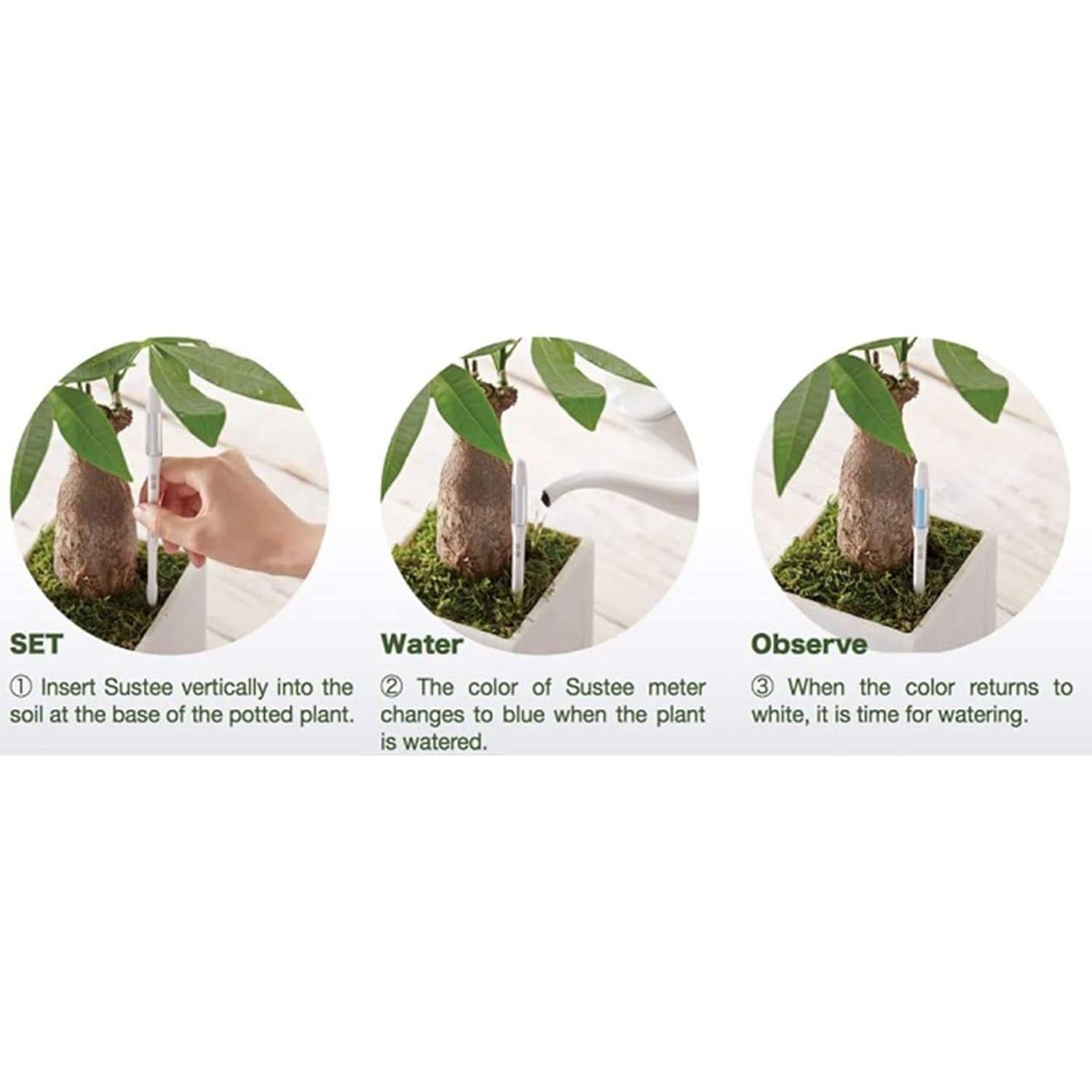 Medidor de Humedad del Suelo SUSTEE Aquameter IPPINKA - Paquete de 12