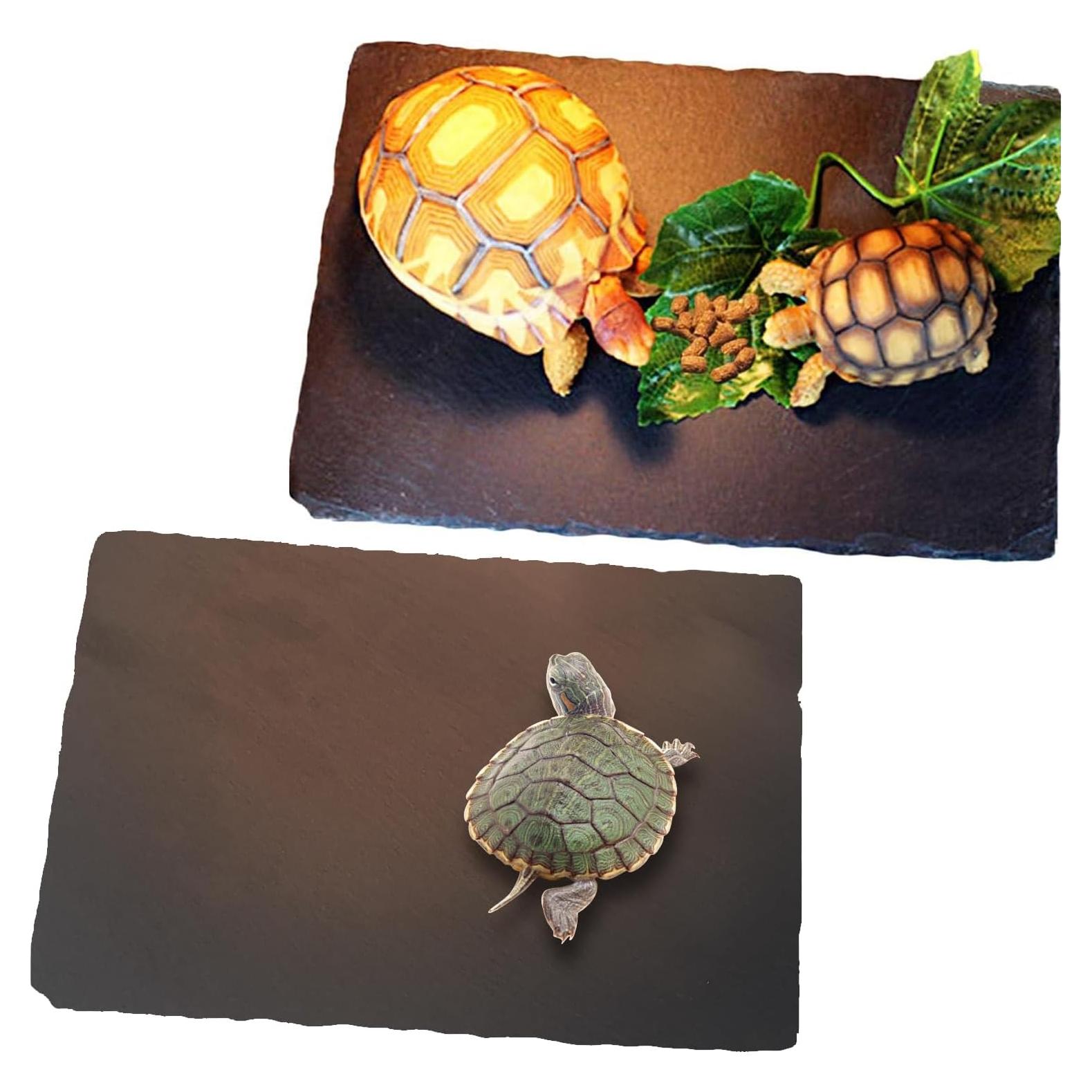 Plataforma de Sol para Tortugas Tfwadmx 2Pcs 30x20cm