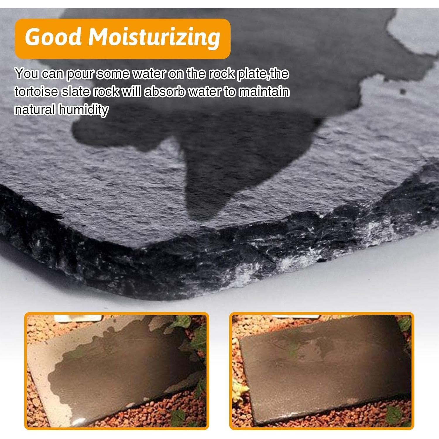 Plataforma de Sol para Tortugas Tfwadmx 2Pcs 30x20cm