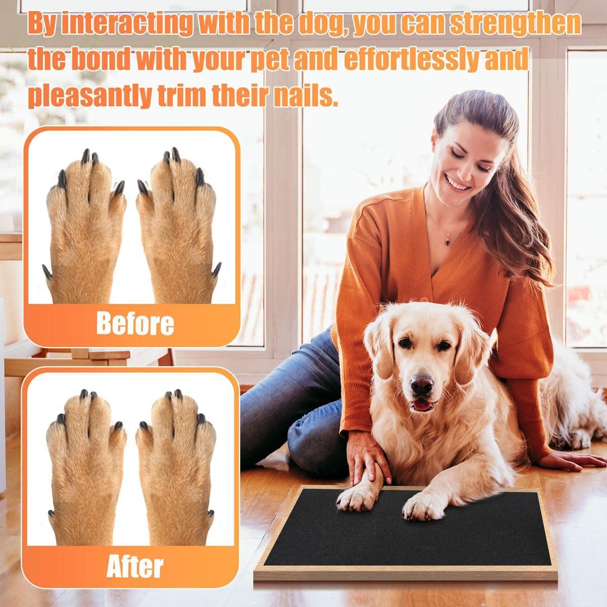 Papel de Lija Autoadhesivo para Uñas de Mascotas Astfys 25.4x396.2cm