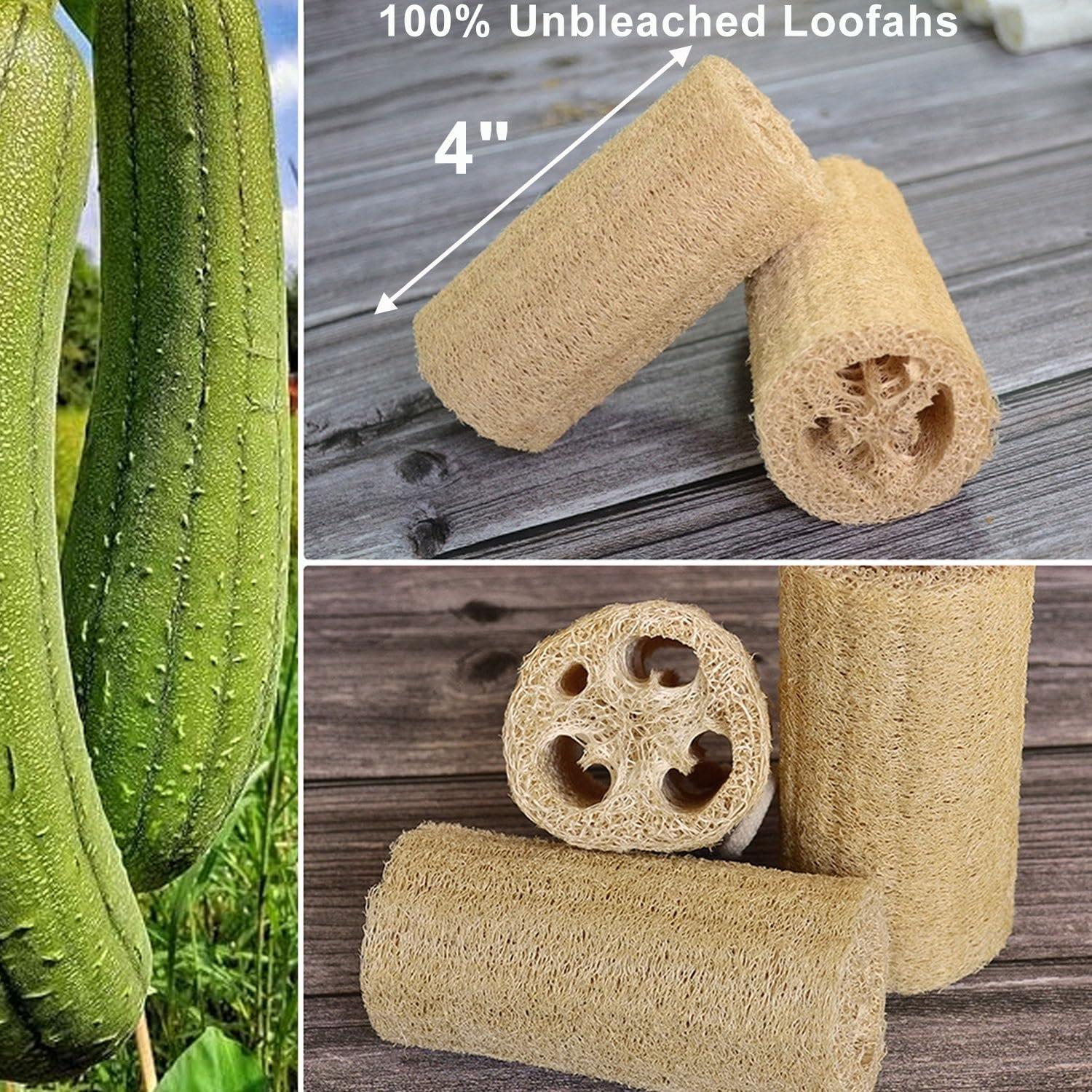 Esponjas de Lufa Natural METLUCK Paquete de 6 Exfoliantes