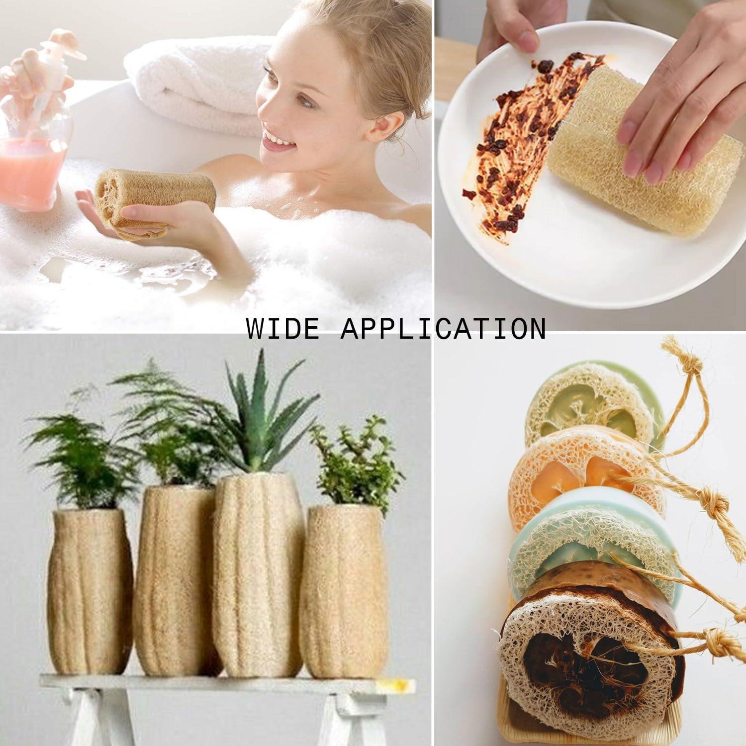 Esponjas de Lufa Natural METLUCK Paquete de 6 Exfoliantes