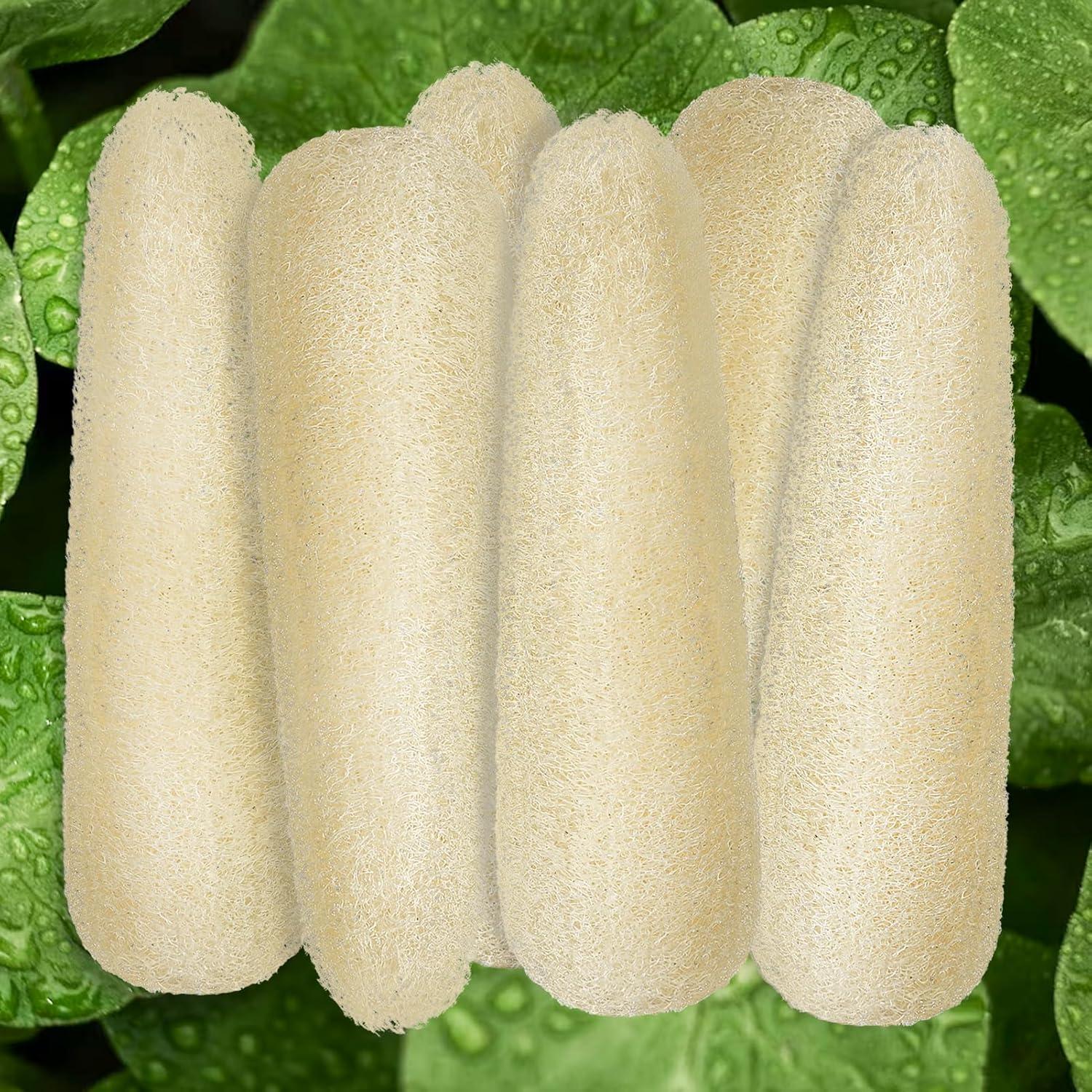 Esponjas de Lufa Natural 30 cm - Paquete de 6 - Exfoliantes Suaves
