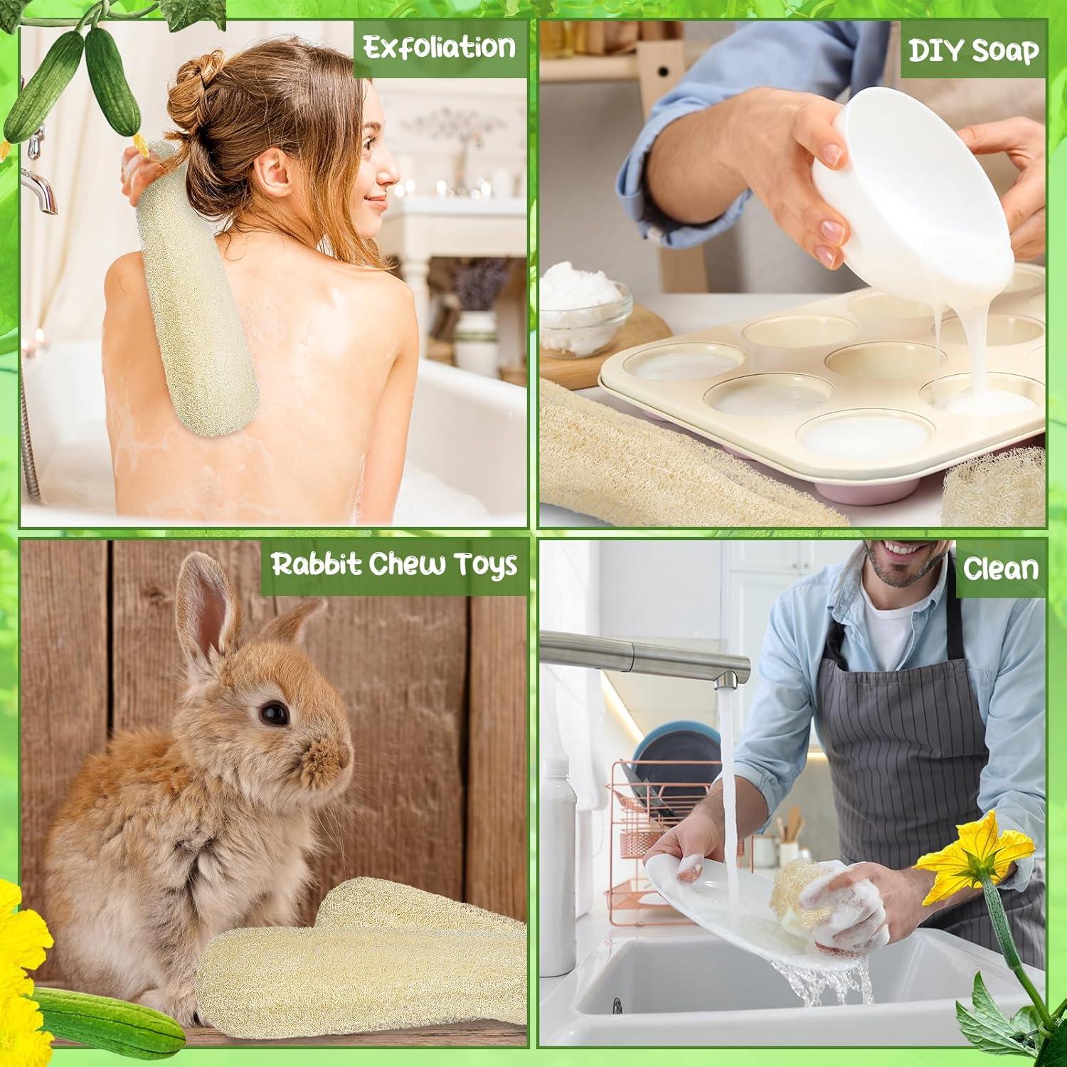 Esponjas de Lufa Natural 30 cm - Paquete de 6 - Exfoliantes Suaves