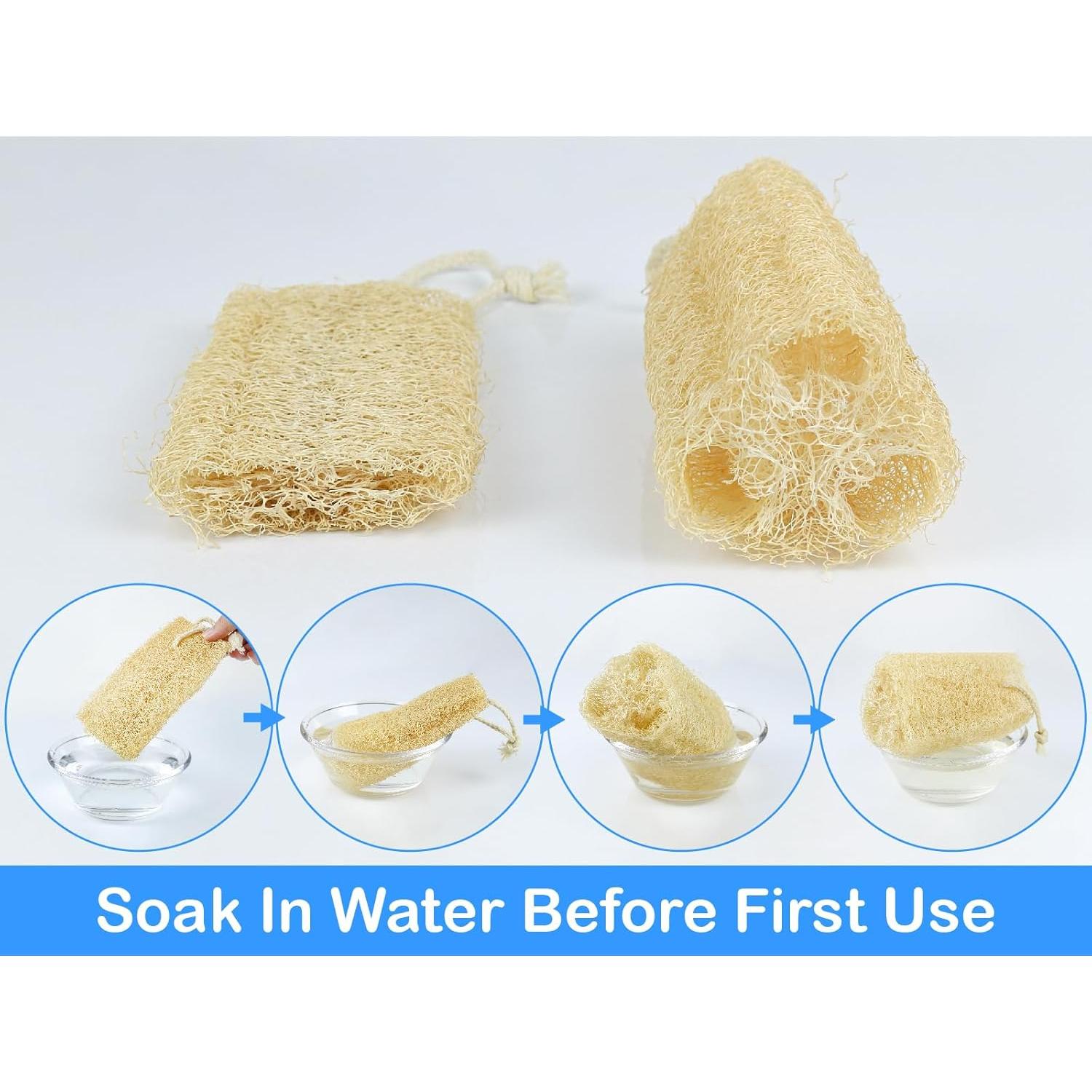 Esponja de Lufa Natural Orgánica HillSpring - Set de 4