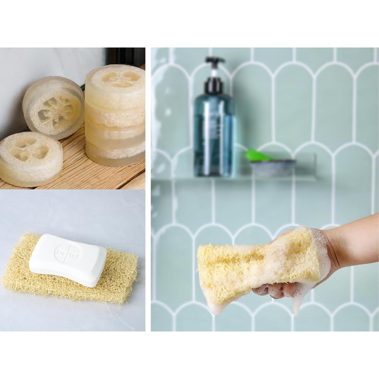 Esponja de Lufa Natural Orgánica HillSpring - Set de 4