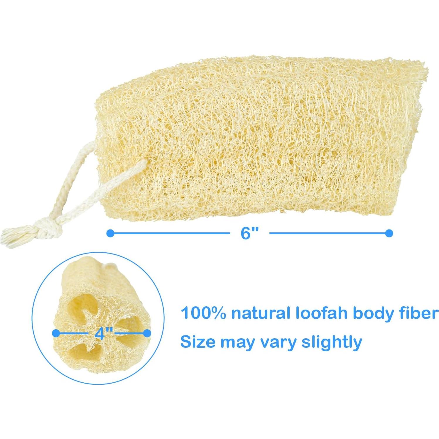 Esponja de Lufa Natural Orgánica HillSpring - Set de 4