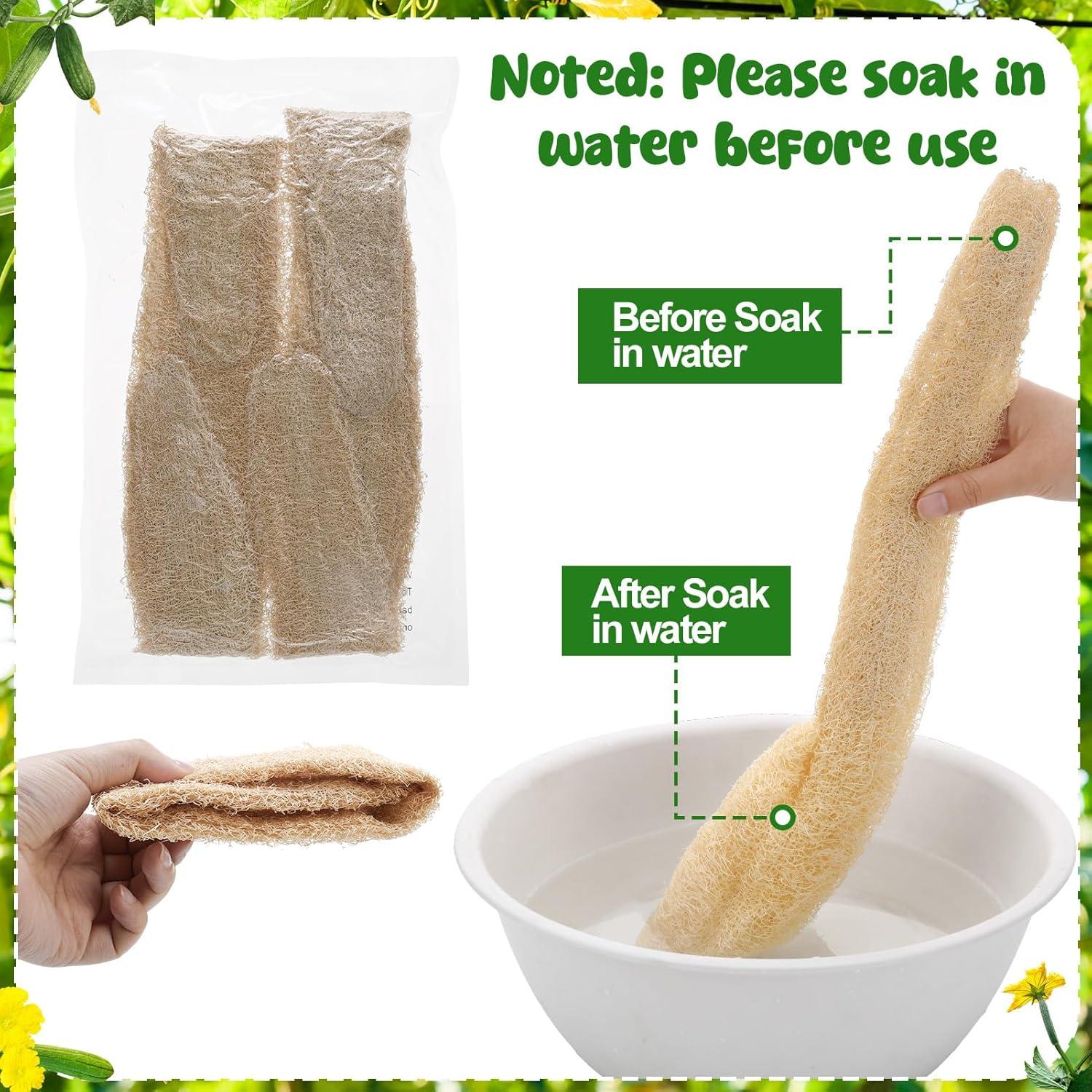 Esponjas de Lufa Natural ZhouBoat - Paquete de 4, 26.6x17.2 cm