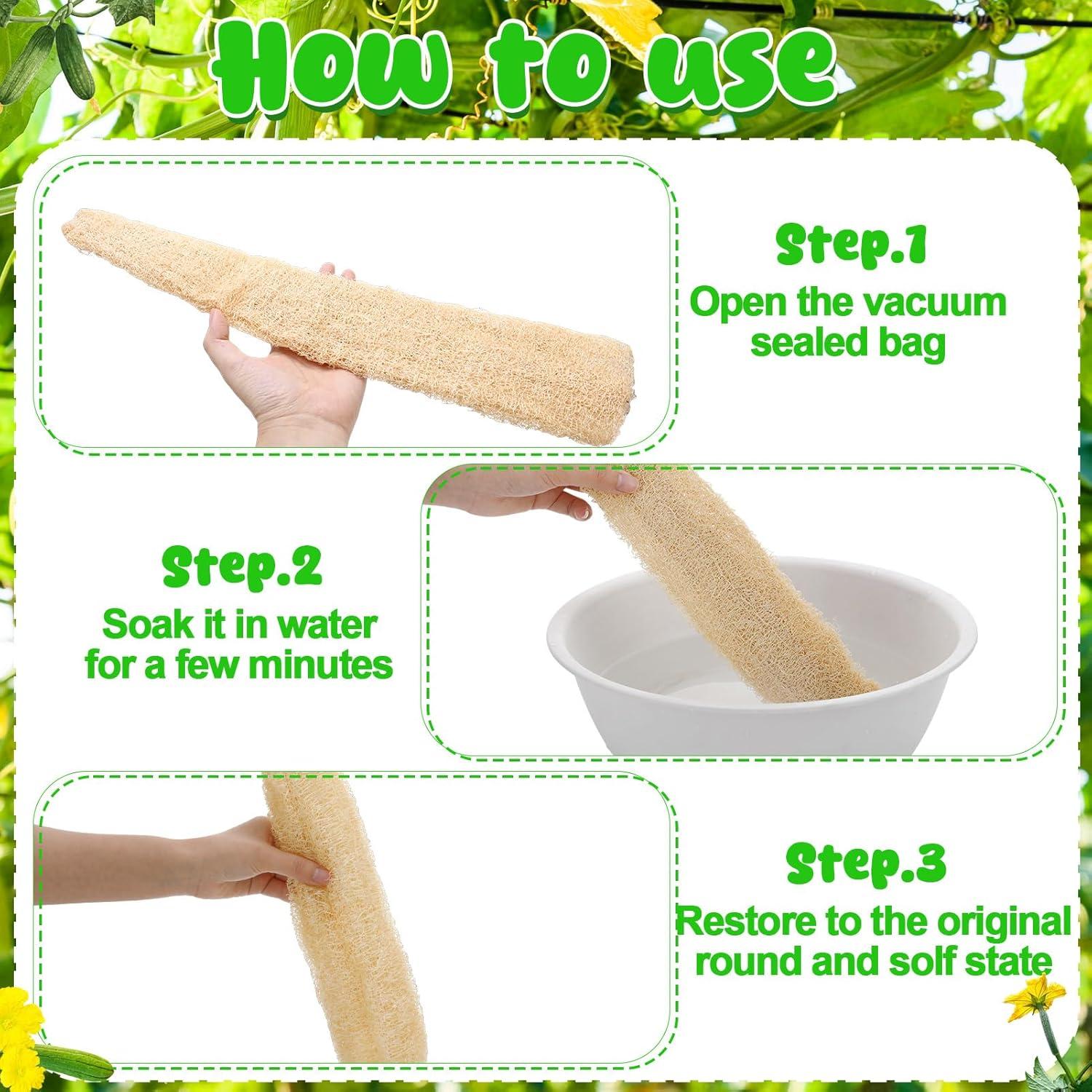 Esponjas de Lufa Natural ZhouBoat - Paquete de 4, 26.6x17.2 cm