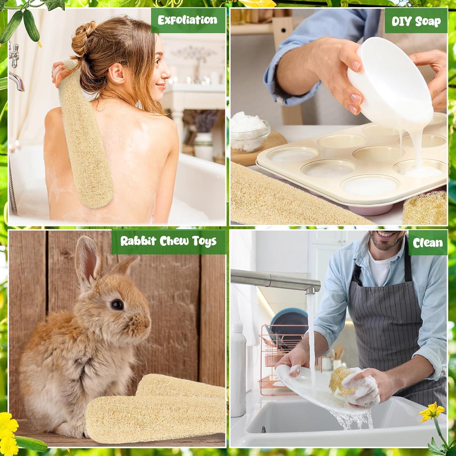 Esponjas de Lufa Natural ZhouBoat - Paquete de 4, 26.6x17.2 cm