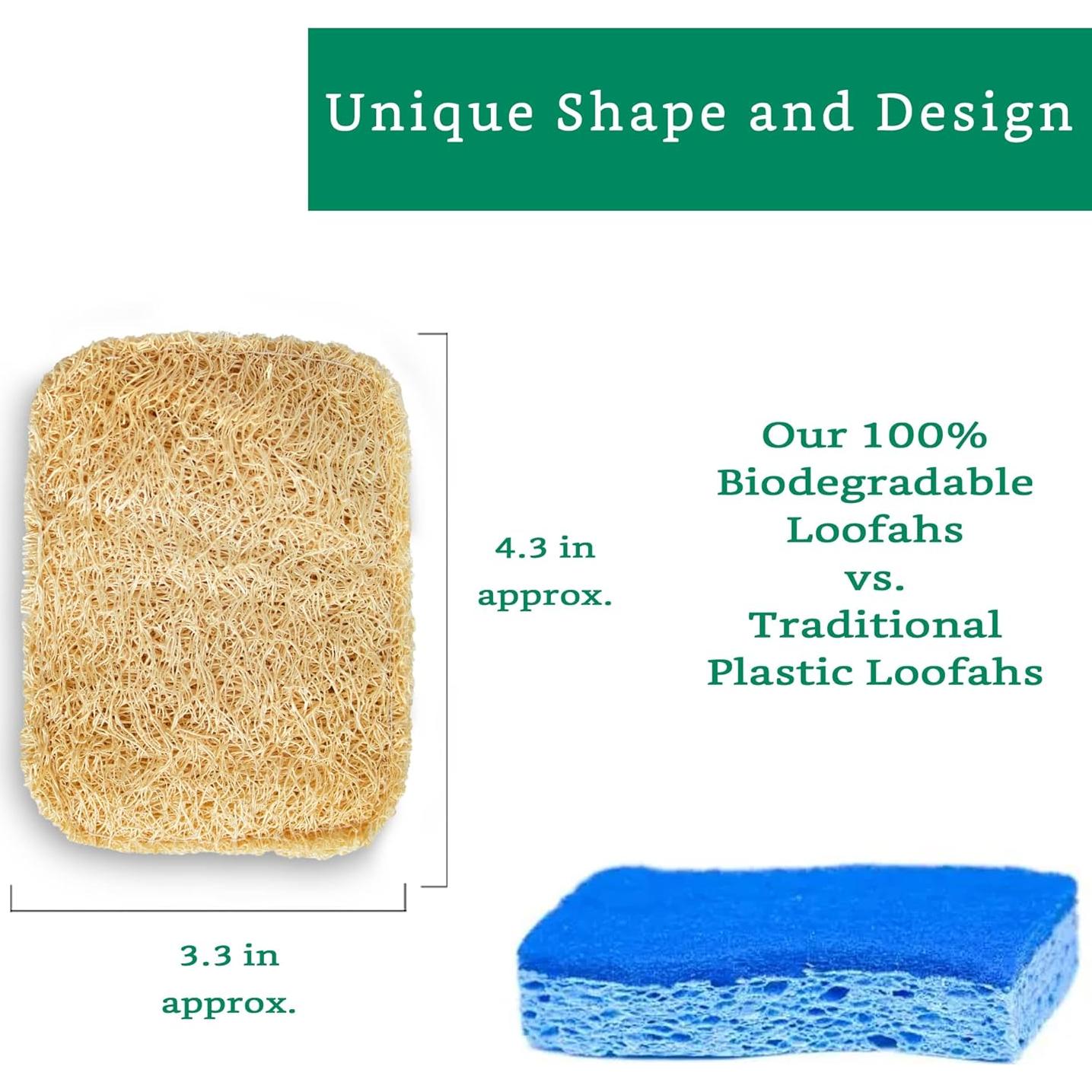 Esponja de Lufa Natural LooLife - Paquete de 3 - Biodegradable