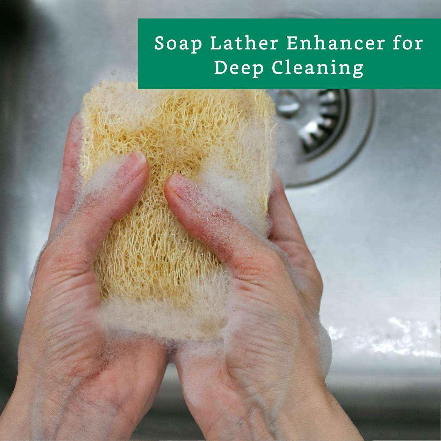 Esponja de Lufa Natural LooLife - Paquete de 3 - Biodegradable