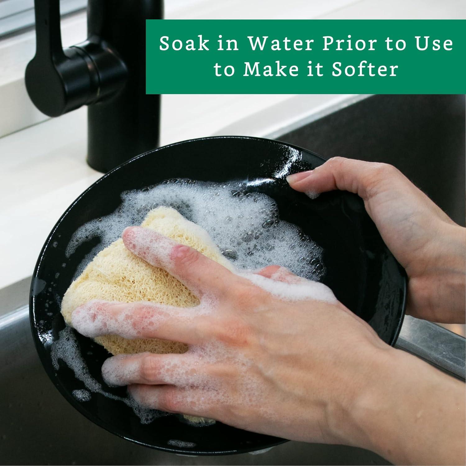 Esponja de Lufa Natural LooLife - Paquete de 3 - Biodegradable