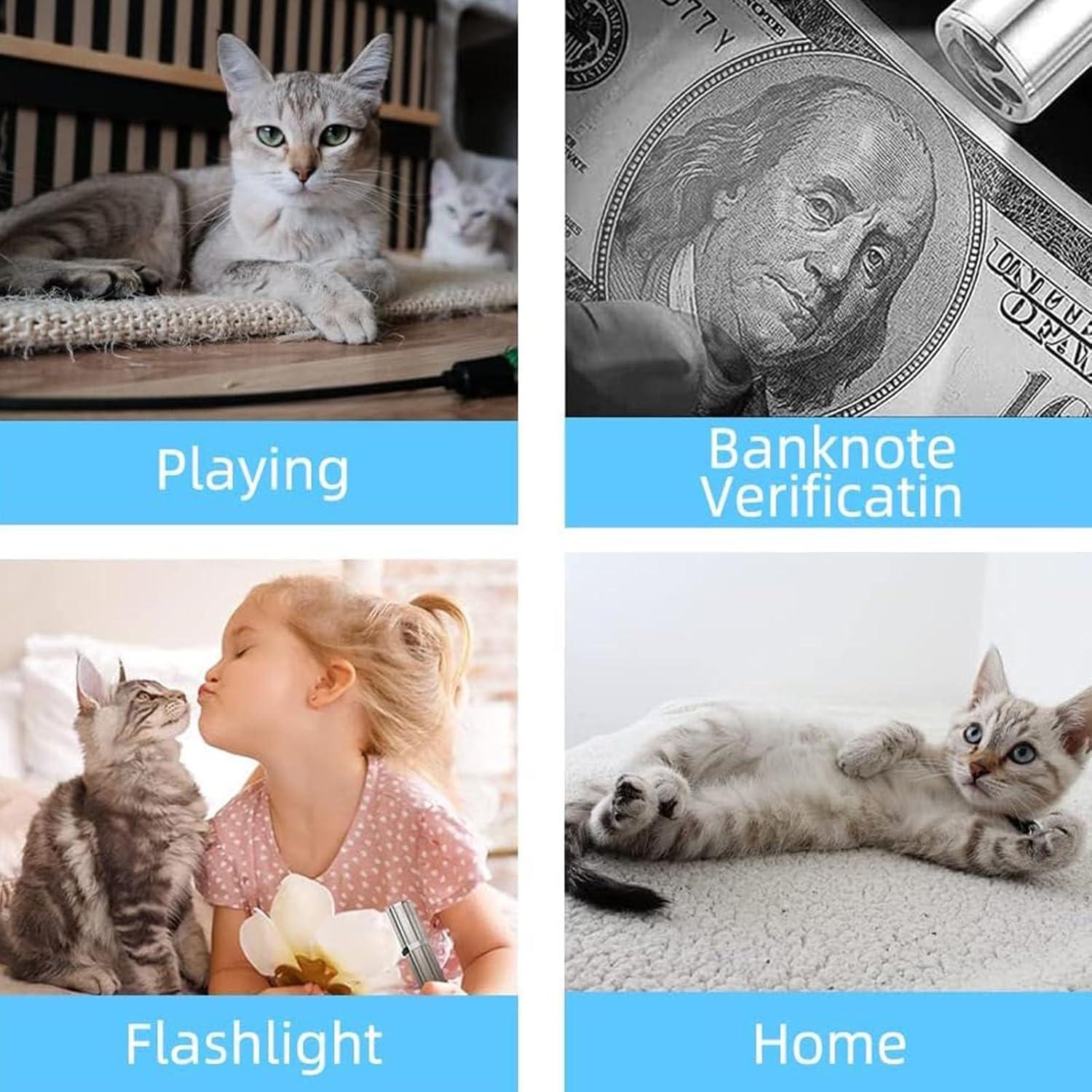 Puntero Láser Recargable para Gatos Yiwu 9127 Plata - Juguete Interactivo