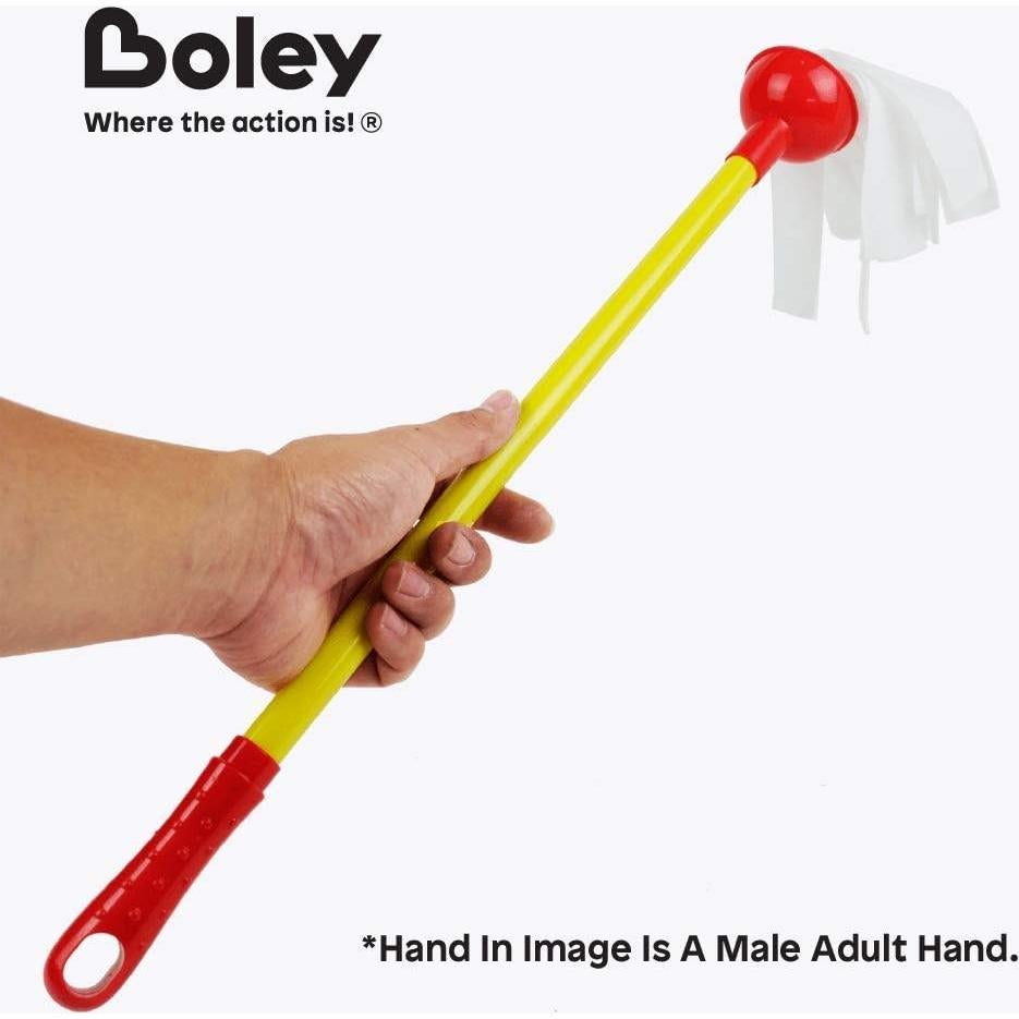 Juego de Limpieza Infantil Boley - Simulación y Aprendizaje