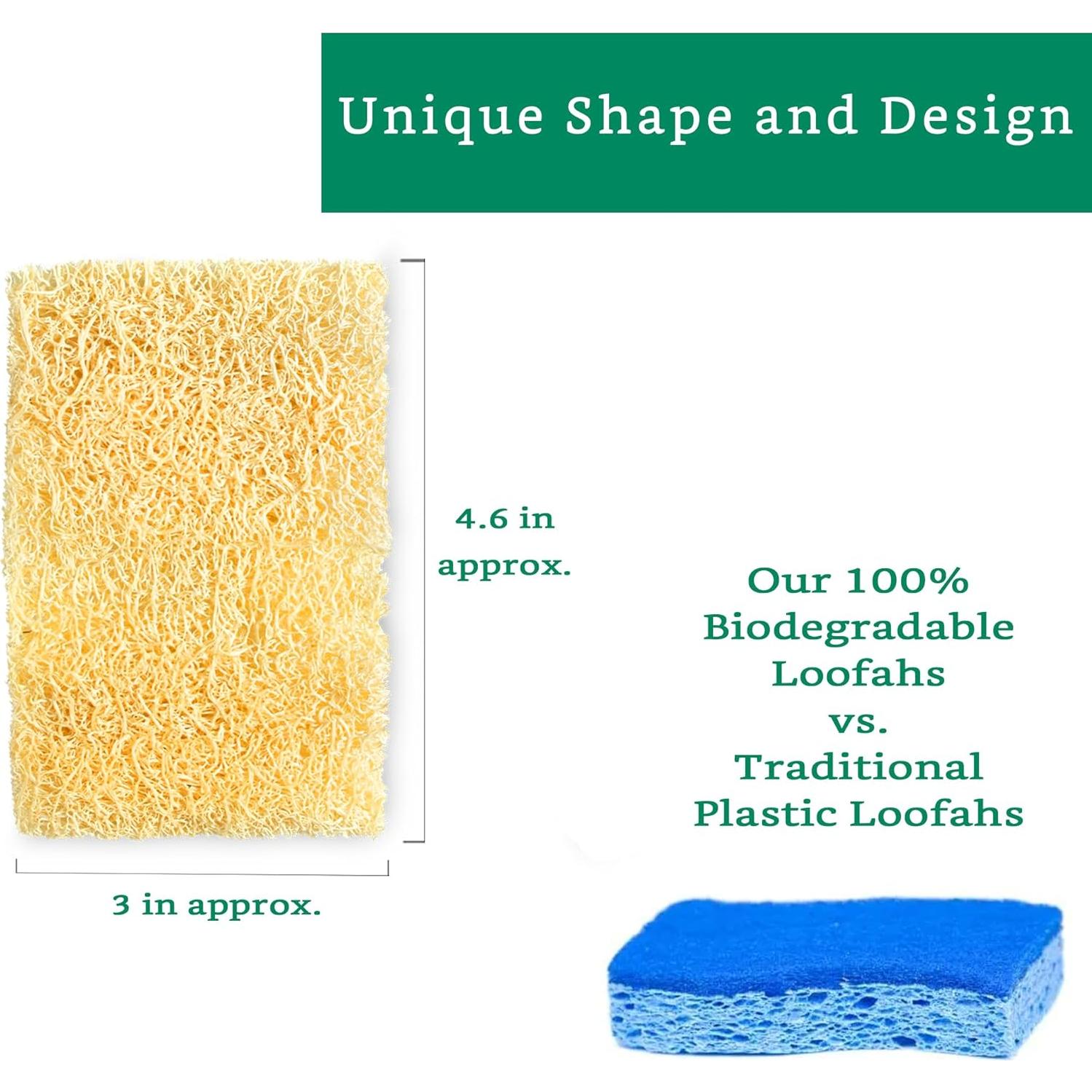 Esponjas de Lufa Natural LooLife para Cocina - Paquete de 10