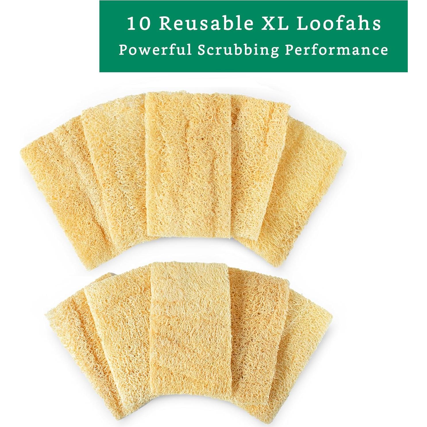 Esponjas de Lufa Natural LooLife para Cocina - Paquete de 10