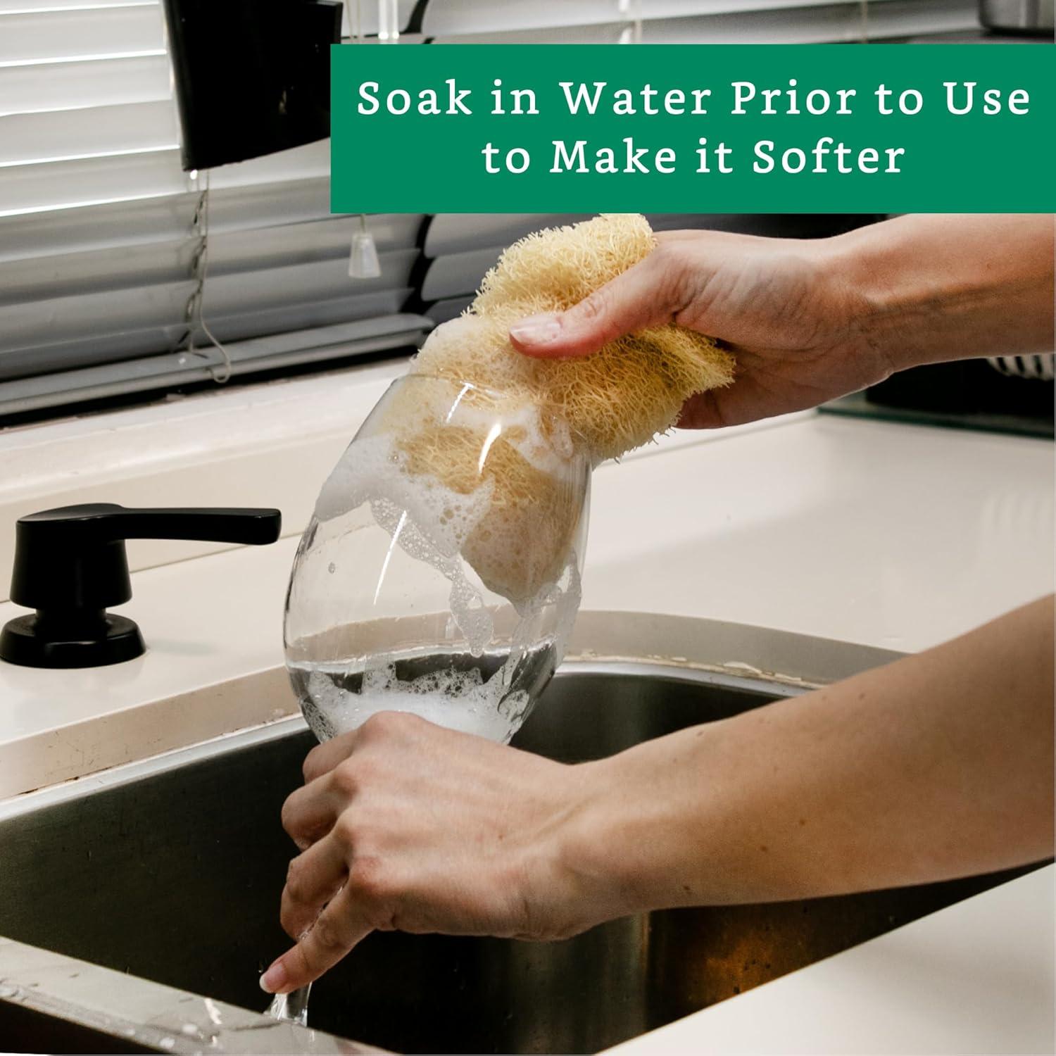 Esponjas de Lufa Natural LooLife para Cocina - Paquete de 10