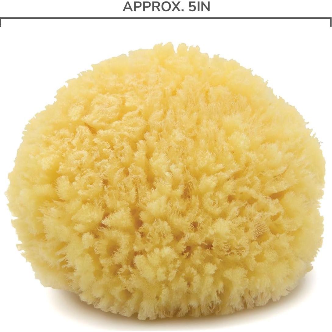 Esponja de Mar Caribe Neptuno 100% Natural Mediana 12-15 cm