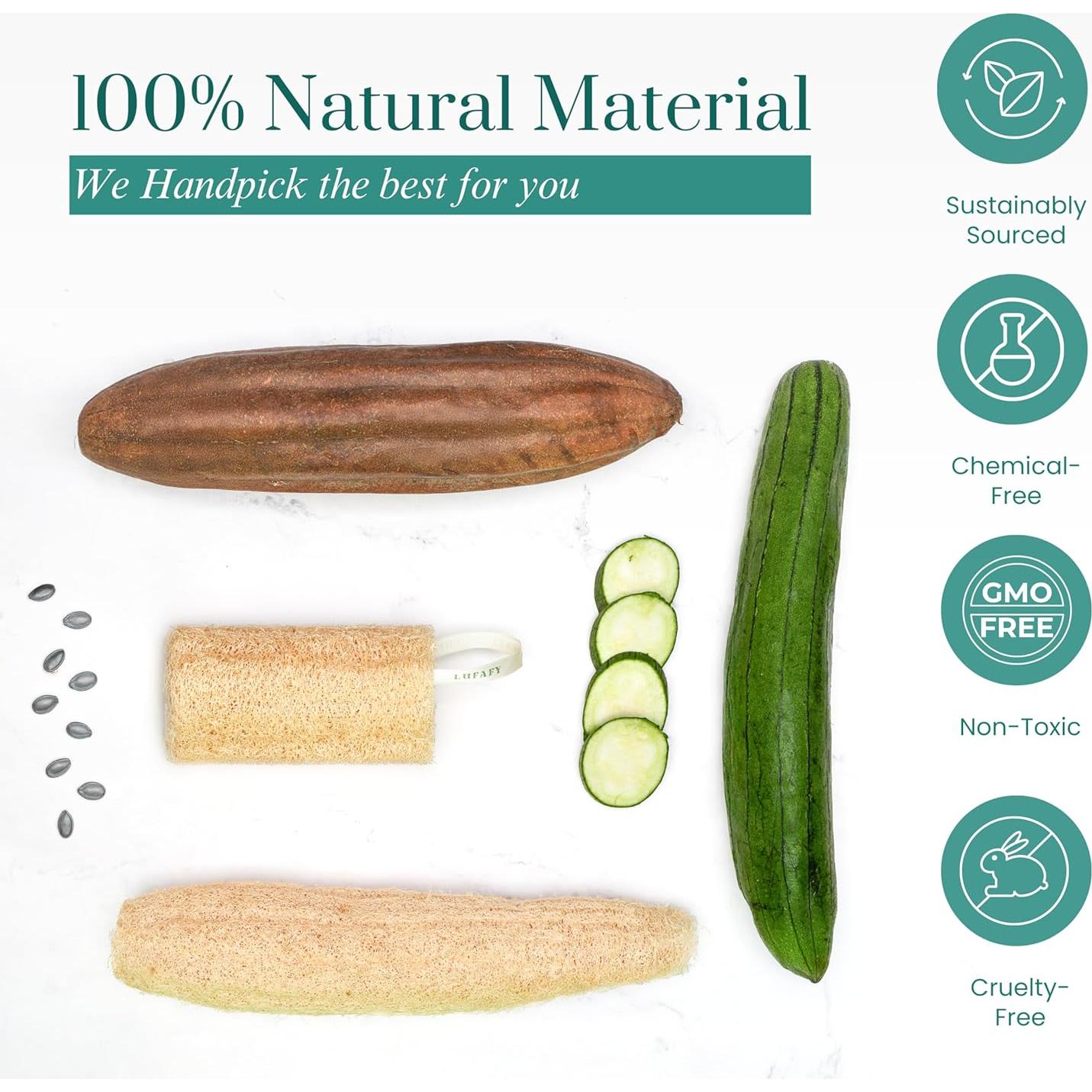 Juego de 12 Esponjas de Lufa Natural LUFAFY - Exfoliantes 15 cm