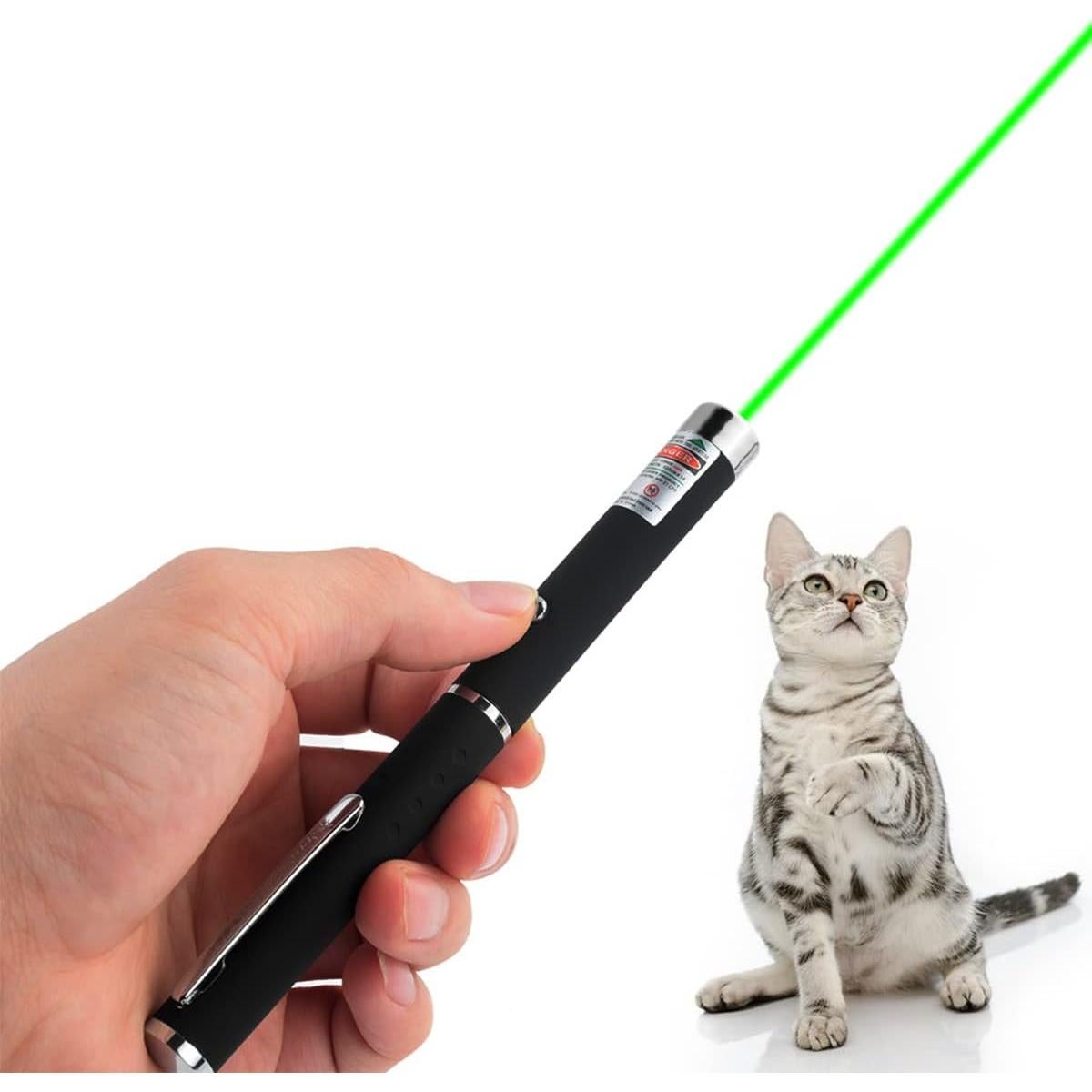 Juguete Interactivo para Gatos USB Recargable Verde 2158