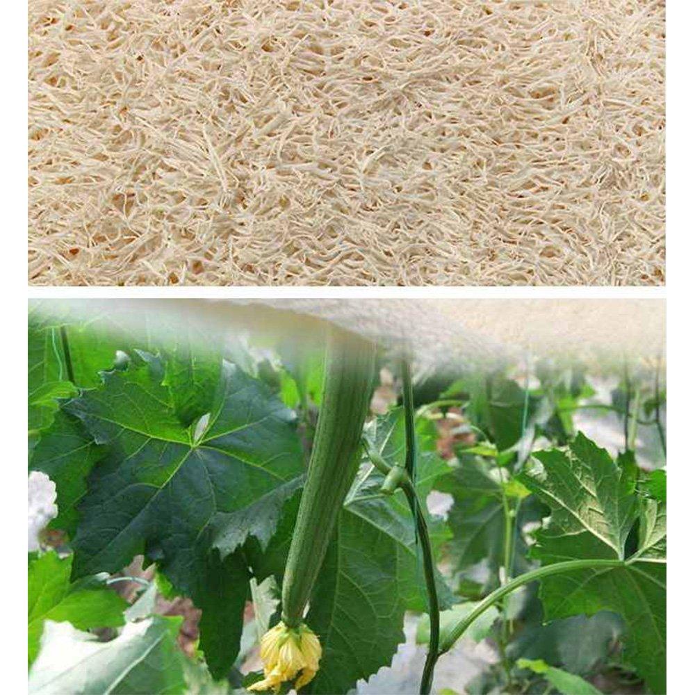 AVESEL Almohadillas Exfoliantes de Lufa Natural - Grande 10x15 cm - Paquete de 8