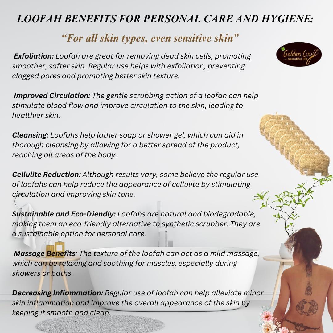 Esponja de Lufa Elefante Dorada 19x14cm Esterilizada Natural