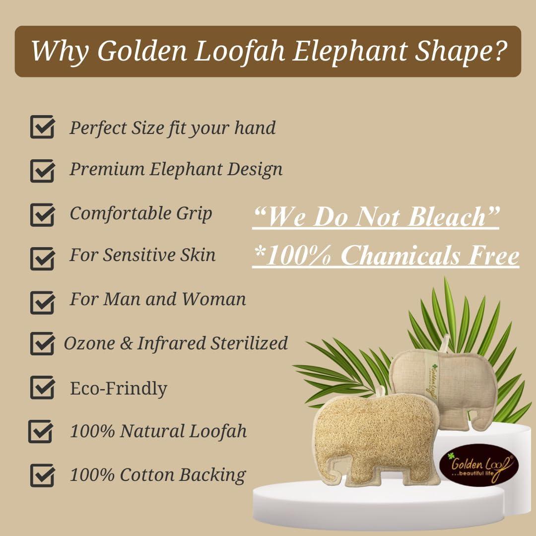 Esponja de Lufa Elefante Dorada 19x14cm Esterilizada Natural