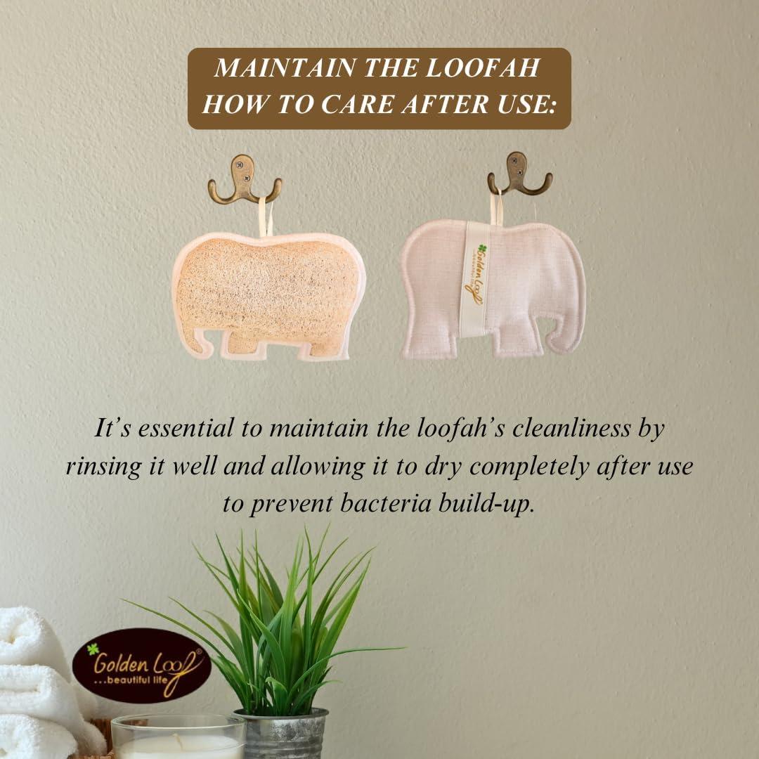 Esponja de Lufa Elefante Dorada 19x14cm Esterilizada Natural