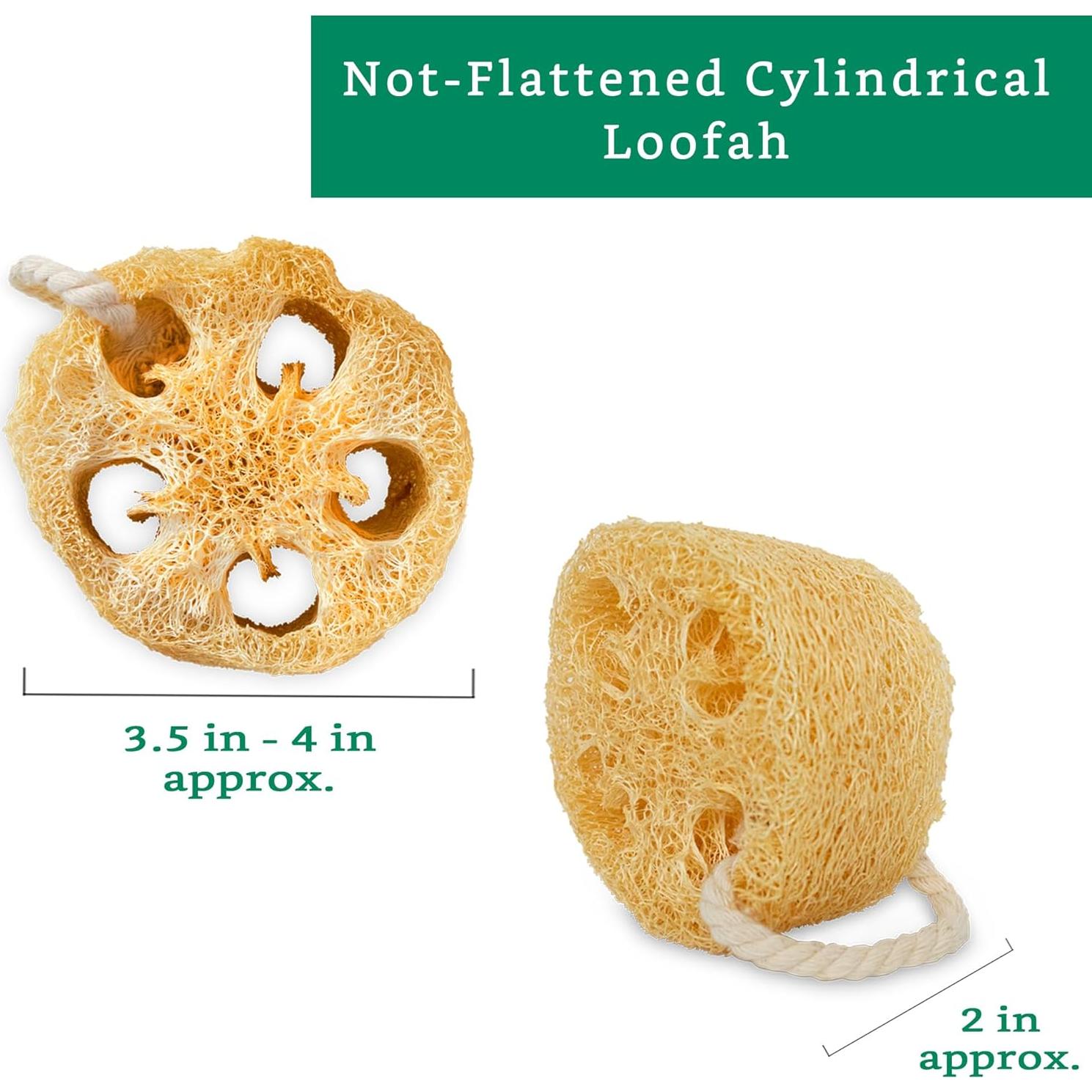 Esponjas Exfoliantes de Lufa Natural LooLife - Paquete de 4