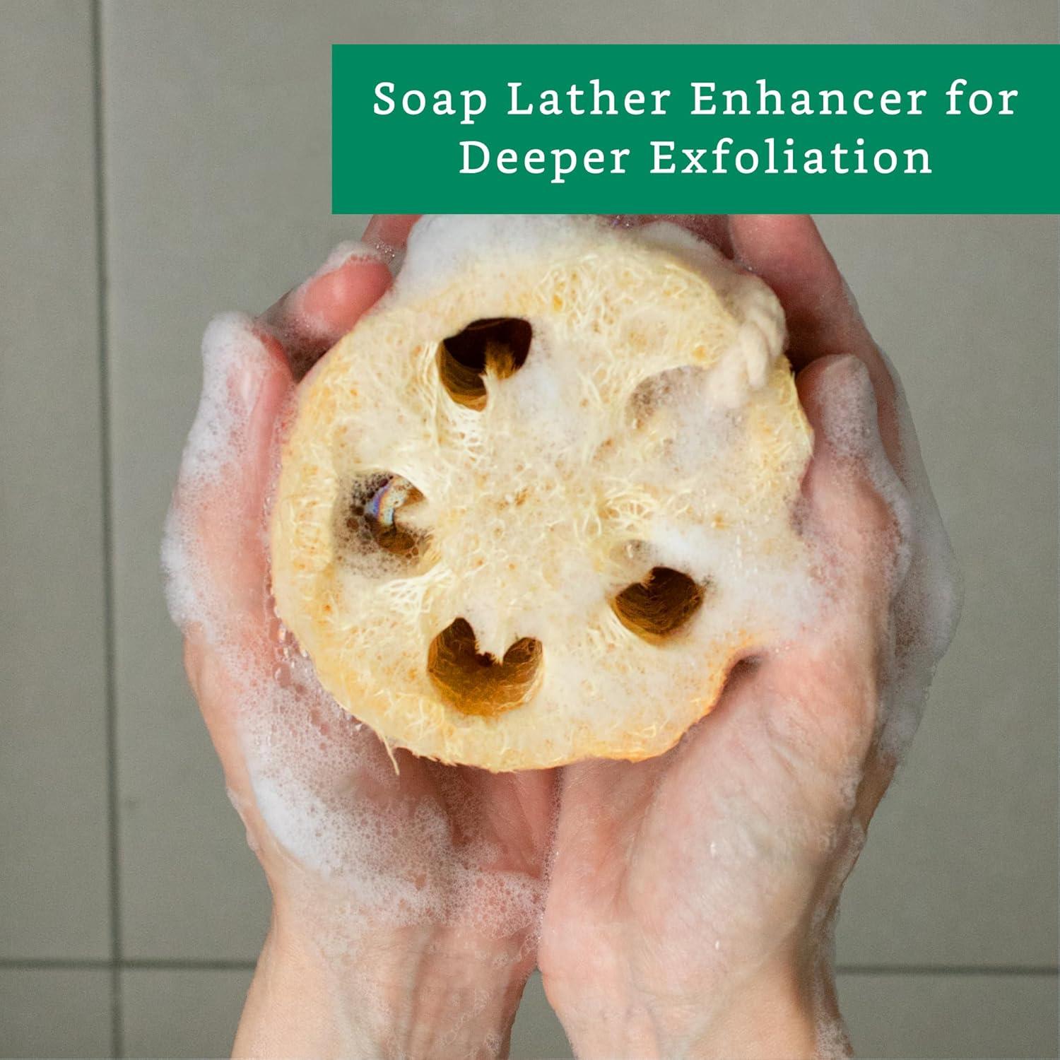 Esponjas Exfoliantes de Lufa Natural LooLife - Paquete de 4