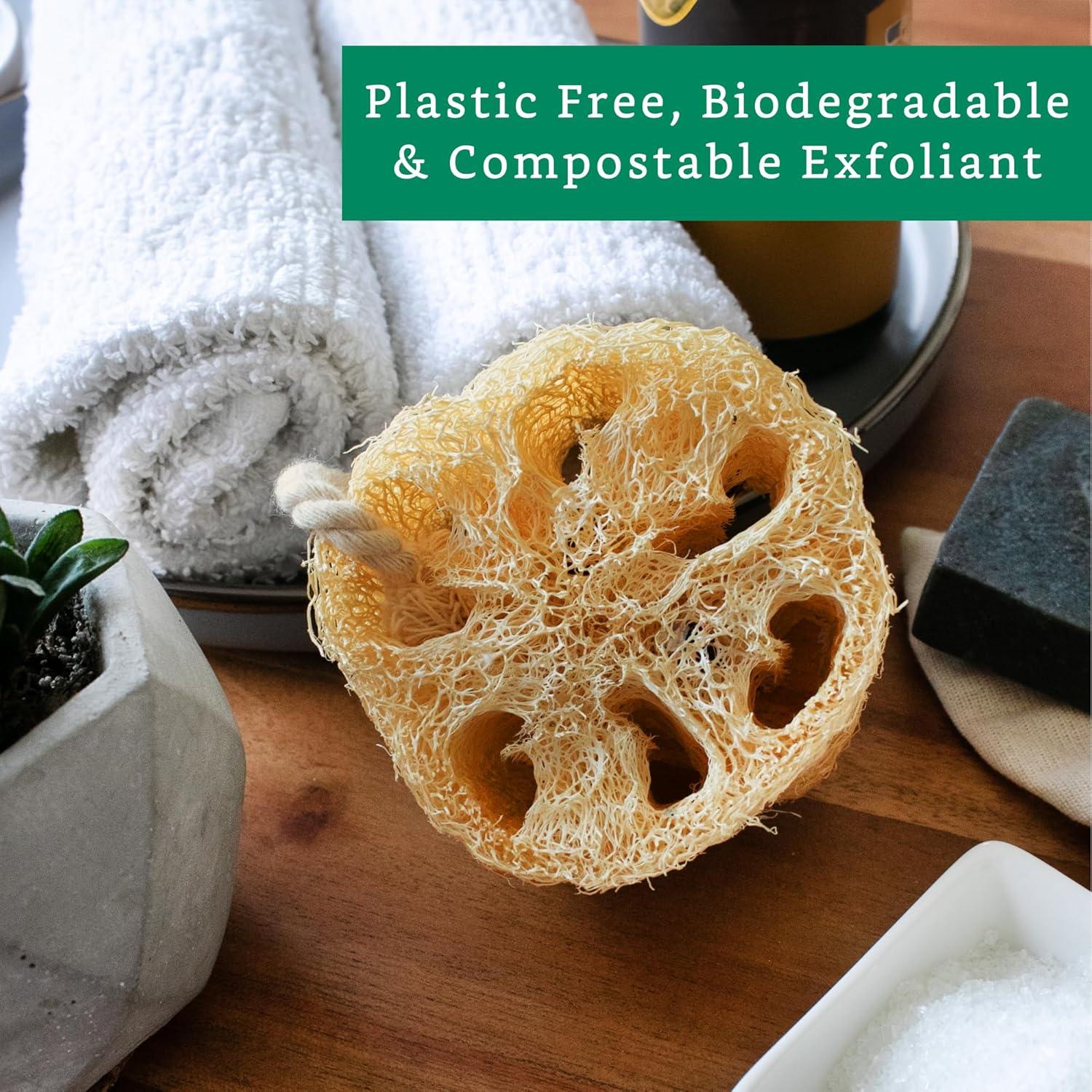 Esponjas Exfoliantes de Lufa Natural LooLife - Paquete de 4