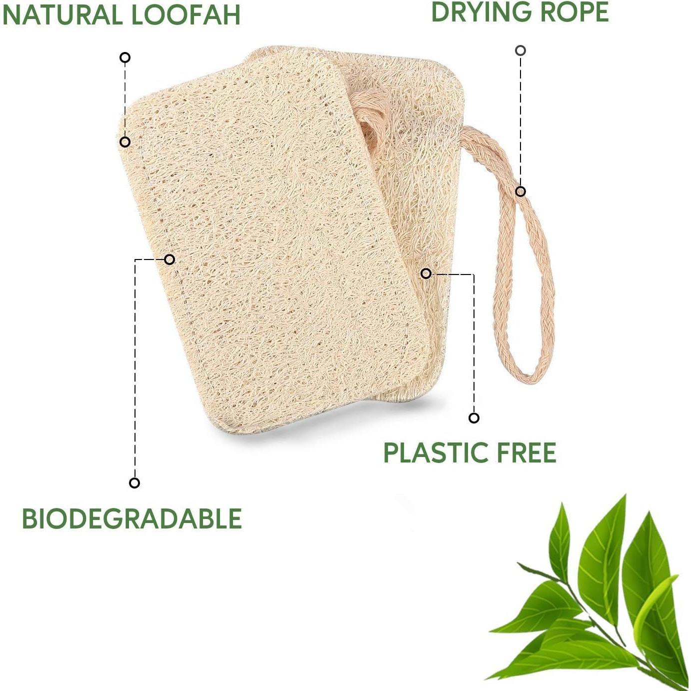 Esponjas de Lavar Platos Ecológicas Eplanita - 12 Unidades de Lufa