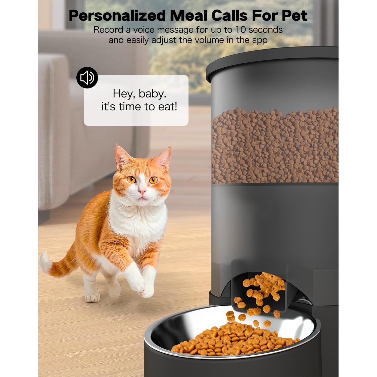 Comedero Automático SURDY 3L para 2 Gatos con Cuencos