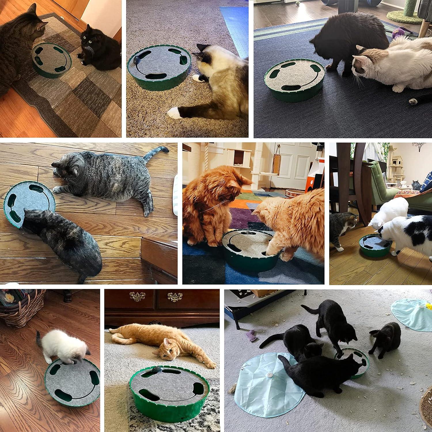 Juguete Interactivo para Gatos Pawaboo Teaser Automático Azul