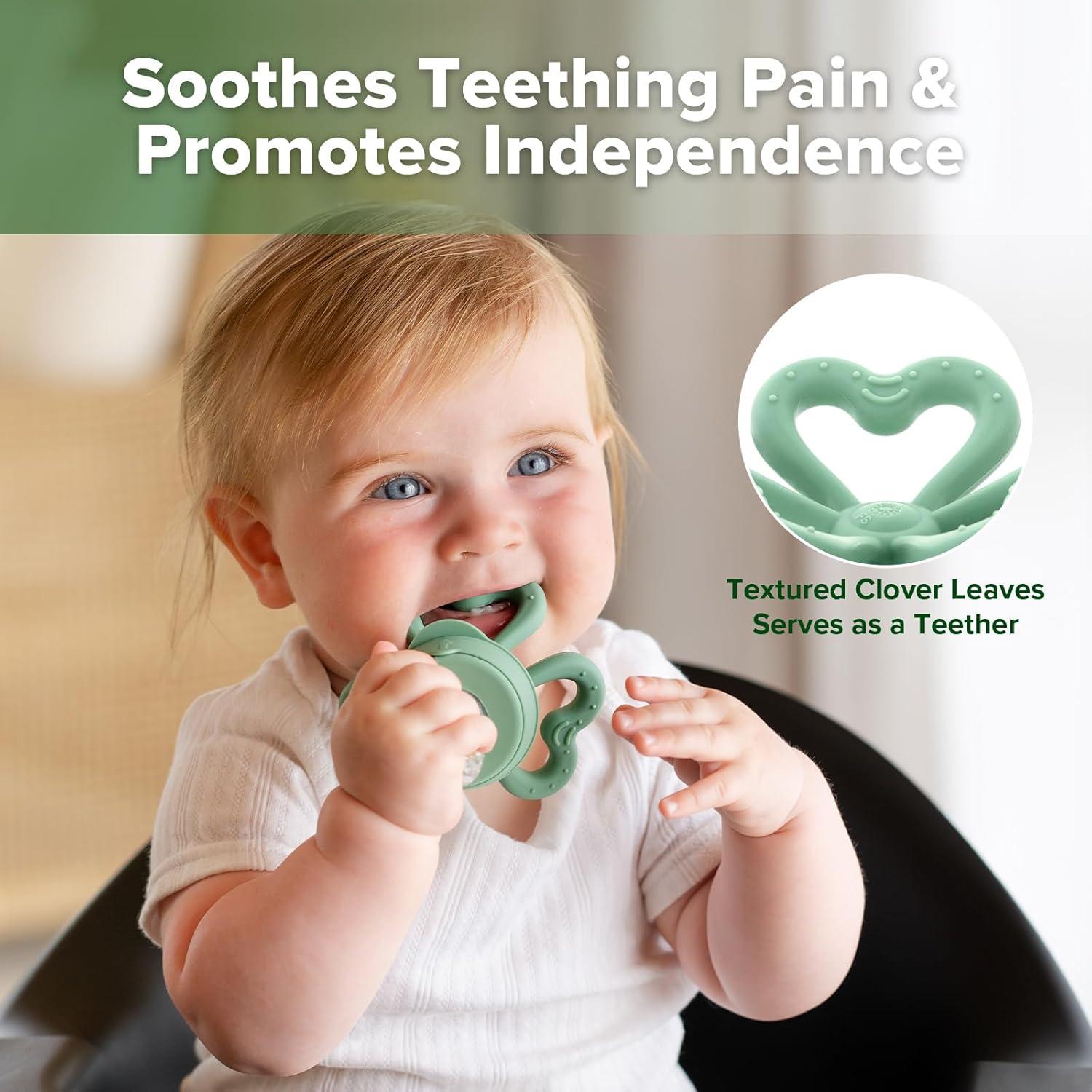 Alimentador de Frutas y Popsicle Haakaa Verde Guisante 4M+