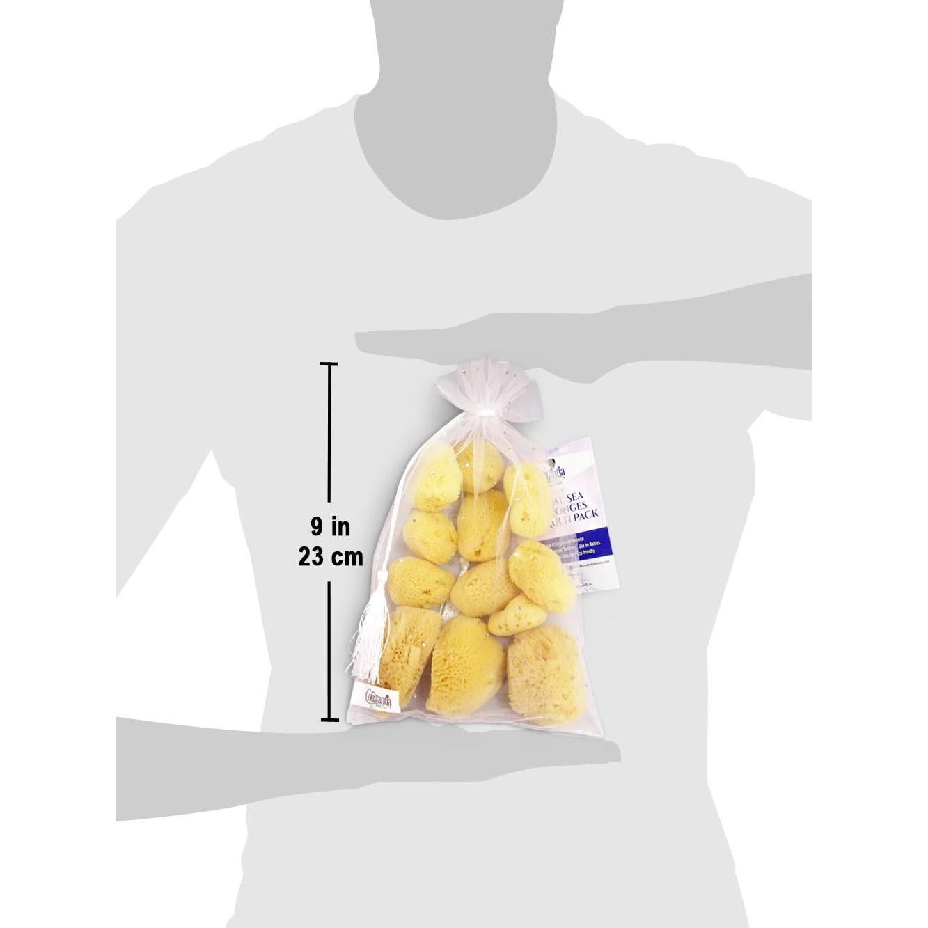 Esponjas de Mar Natural 12pk Constantia Beauty - 9 y 6.4 cm