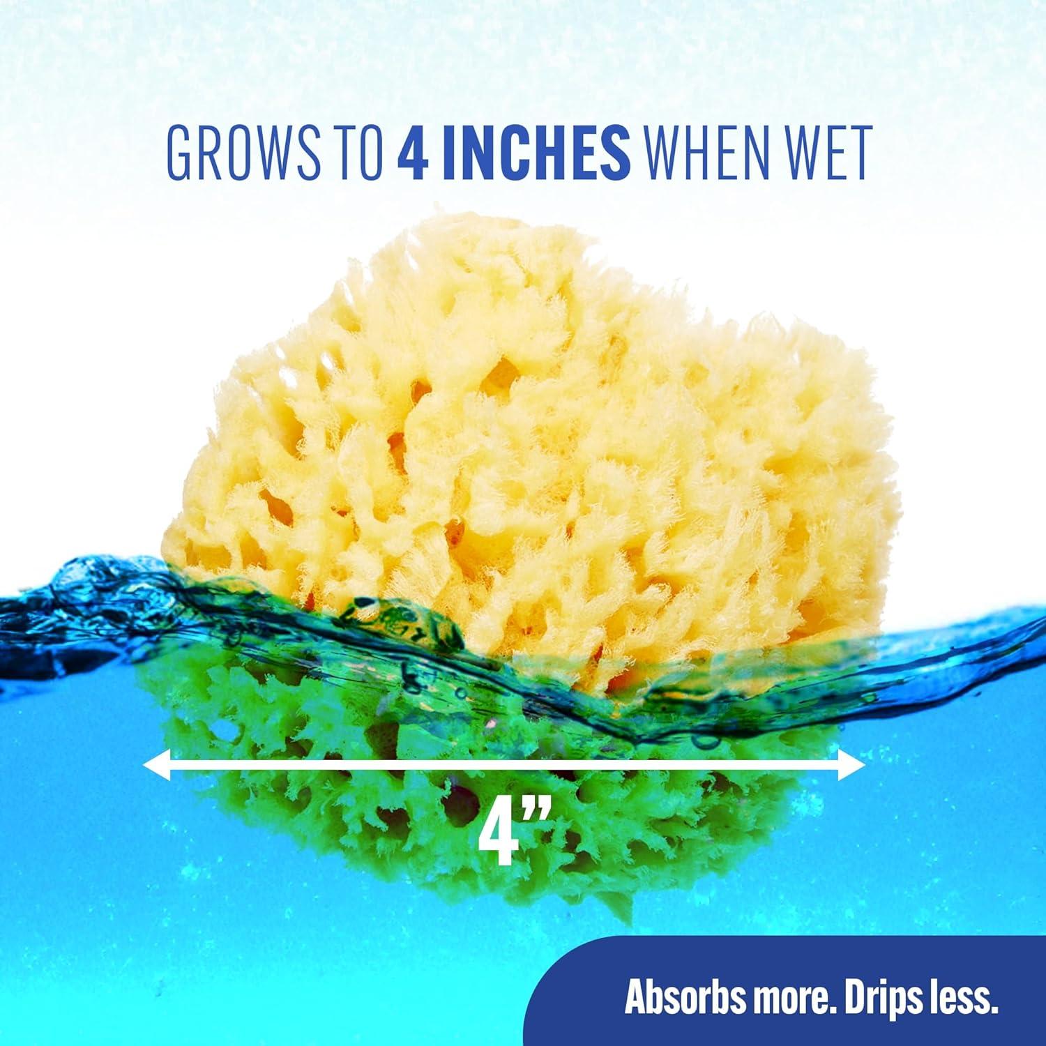 Esponja de Mar de Lana Natural Baby Buddy - Paquete de 2