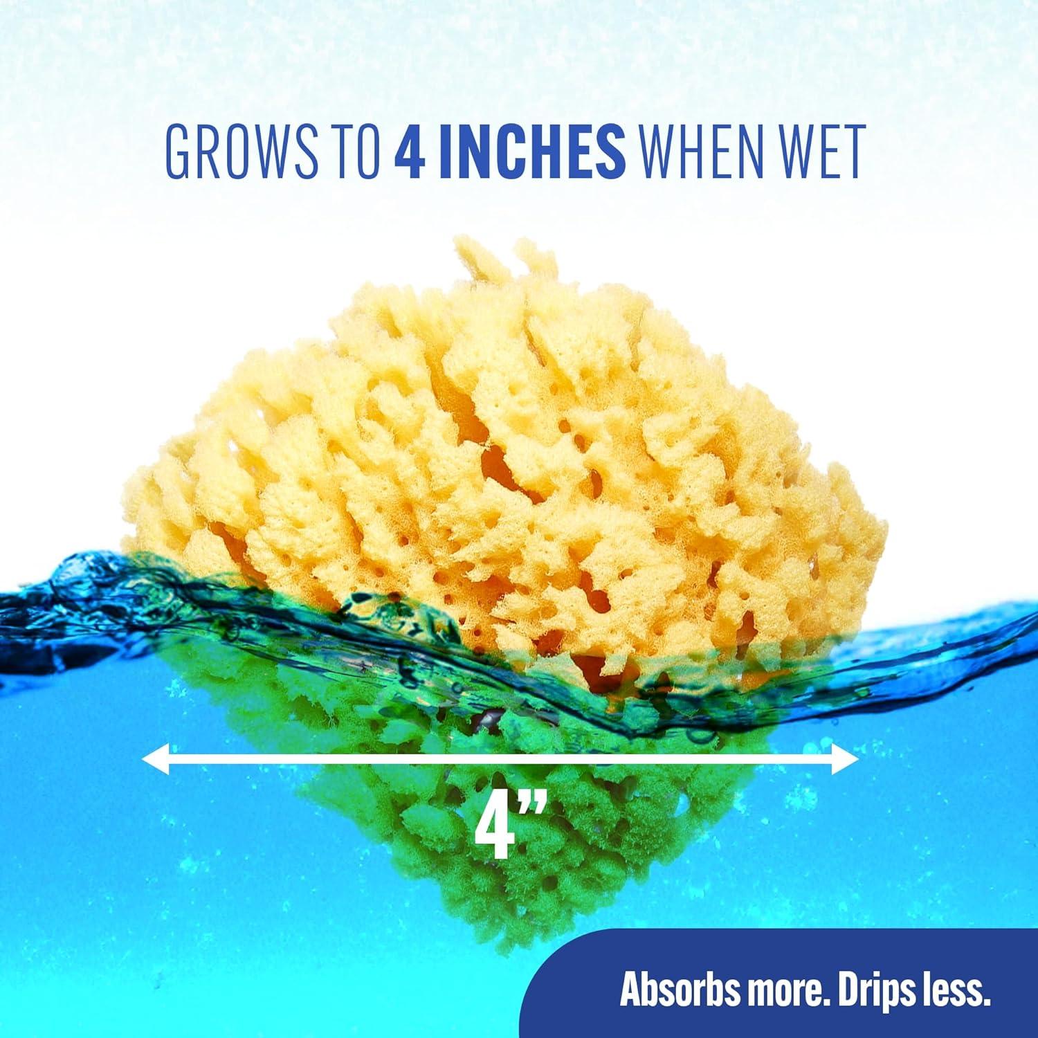 Esponja de Mar Amarilla Baby Buddy Hipoalergénica 1 Cuenta