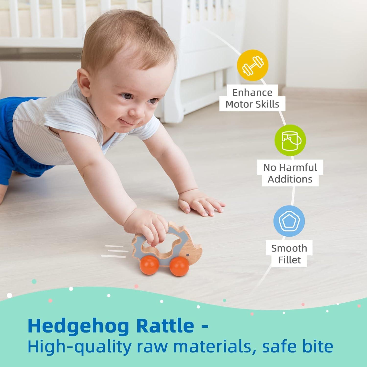 Set Educativo Montessori TOOKYLAND 7-12 Meses Juguetes de Madera