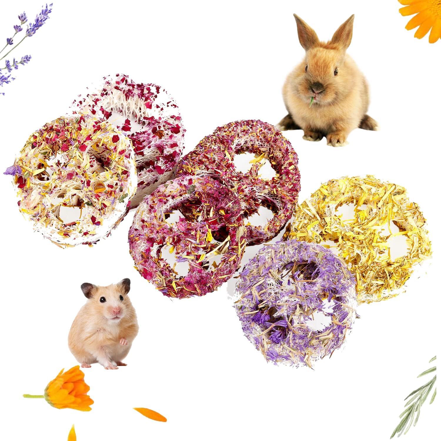 Juguetes Masticables de Lufa Orgánica FiveBull para Mascotas